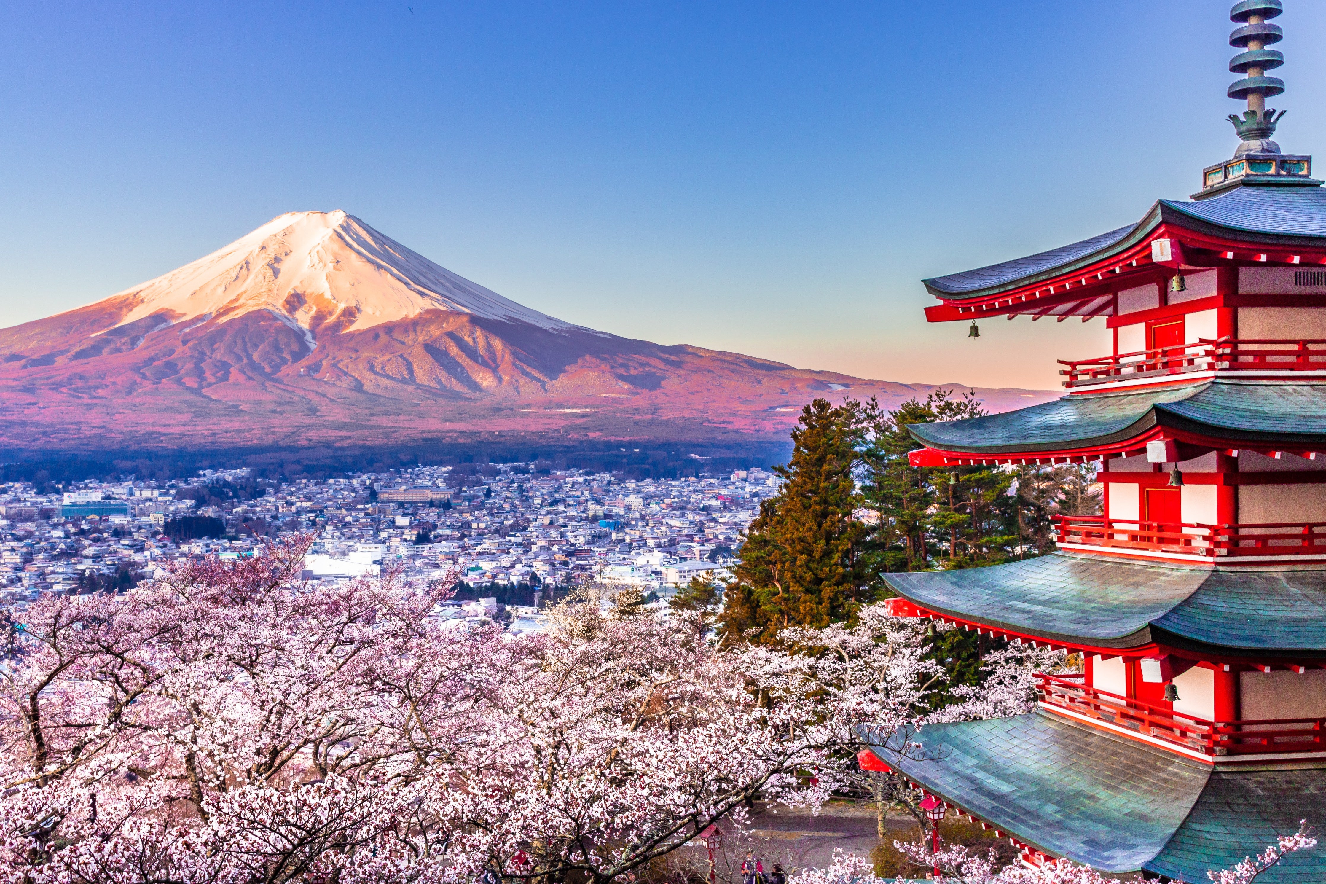 Waschbecken-Rückwand-Berg Fuji mit Tempel und Kirschblüten