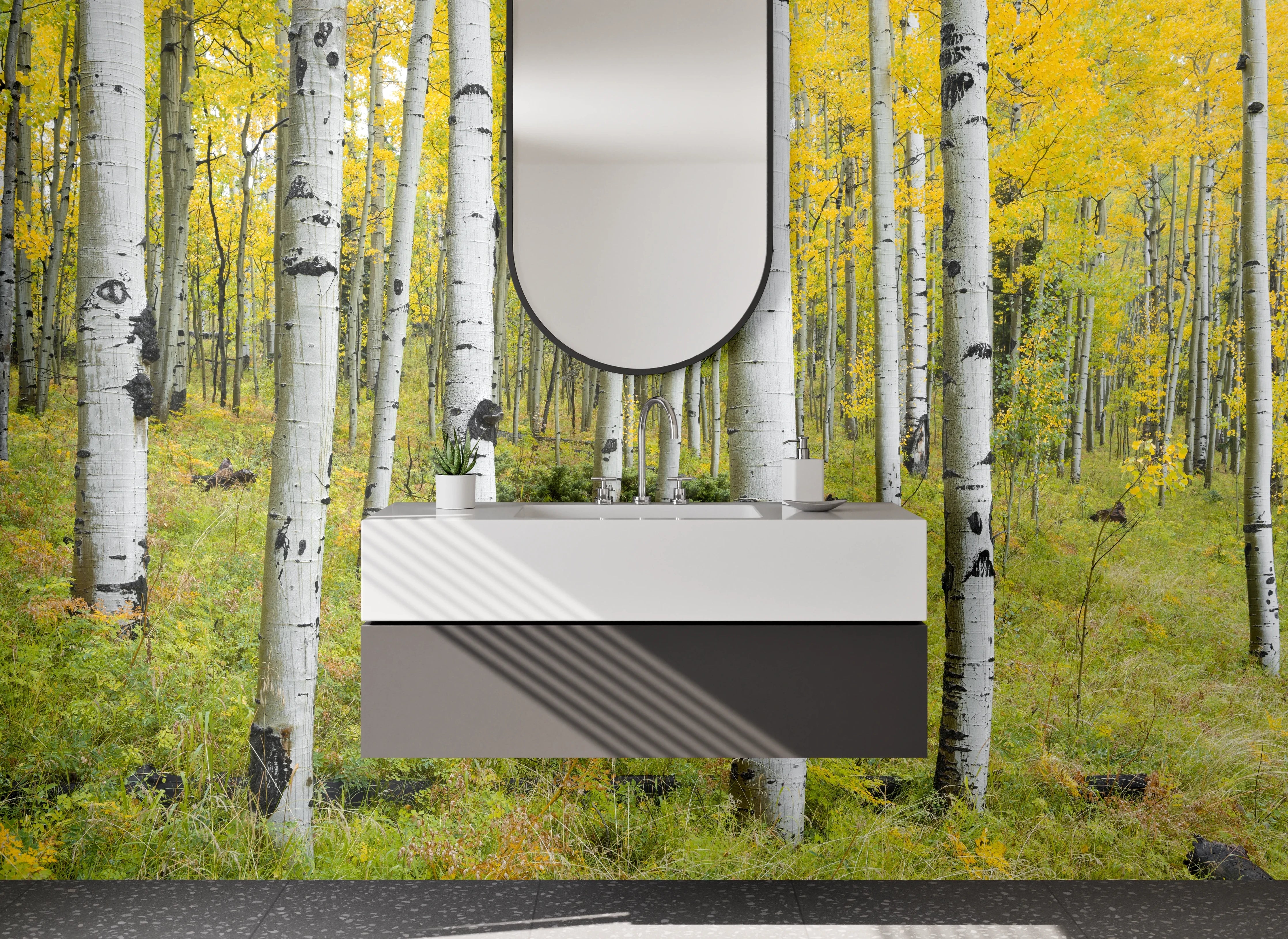 Waschbecken-Rückwand - Birkenwald im Frühling – Natur-Design