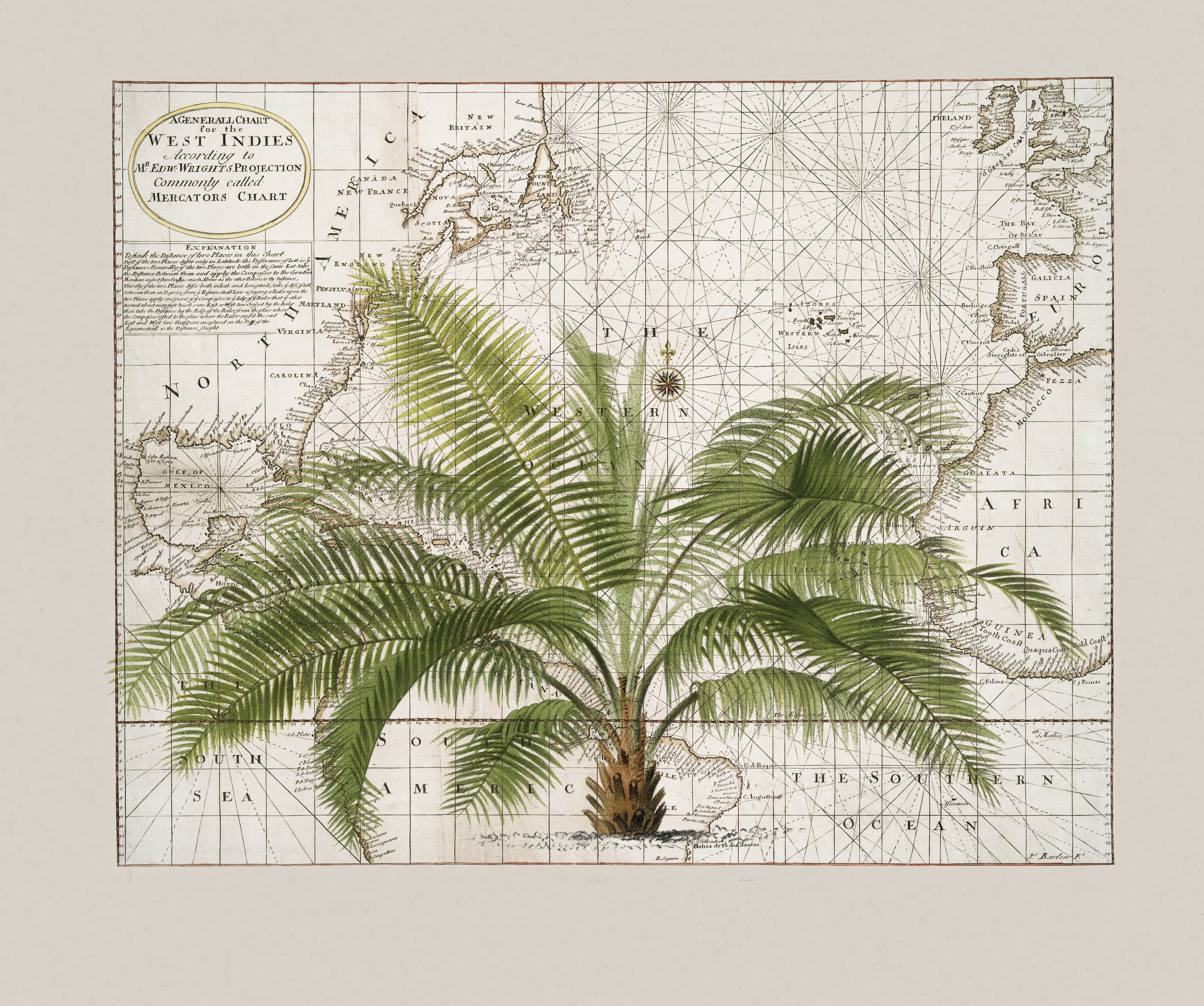 Waschbecken-Rückwand-Botanische Vintage Weltkarte mit Palme