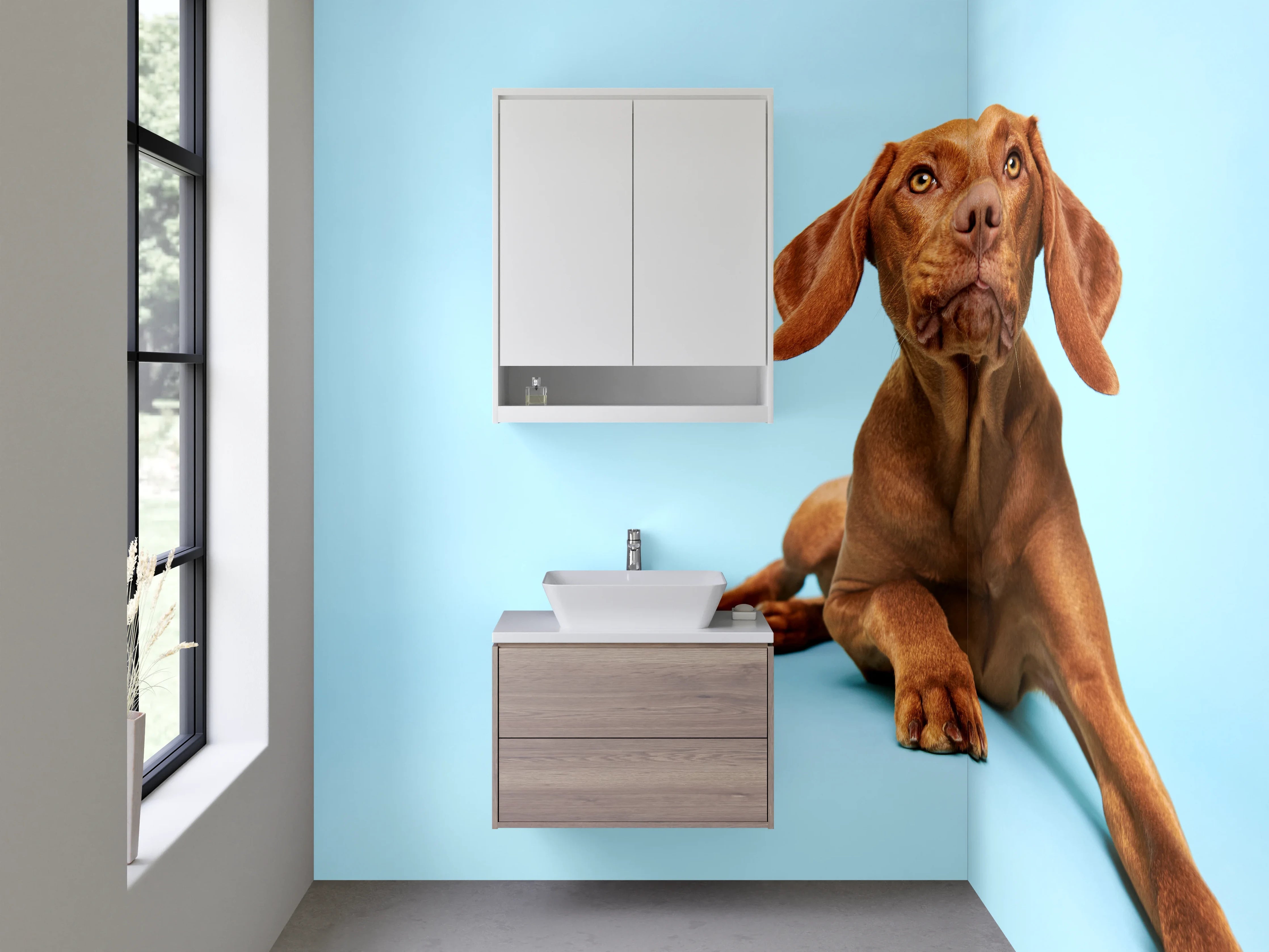 Waschbecken-Rückwand - Brauner Hund auf Blau – Tiermotiv