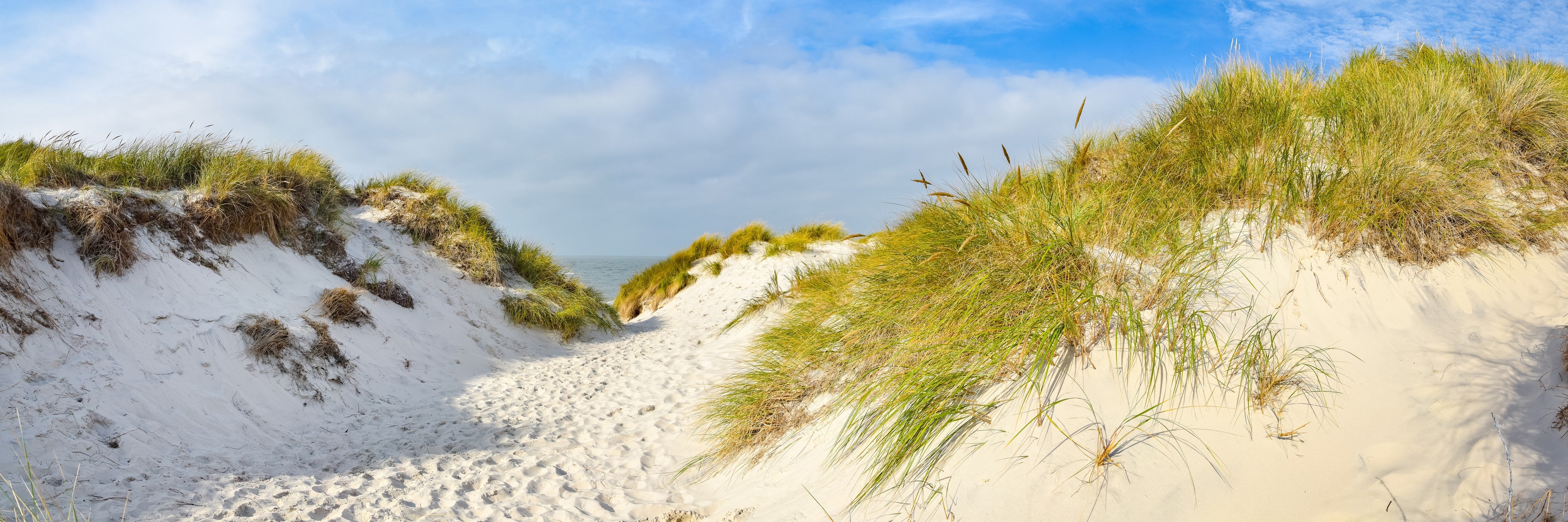 Waschbecken-Rückwand-Dünenpfad am Sandstrand Panorama