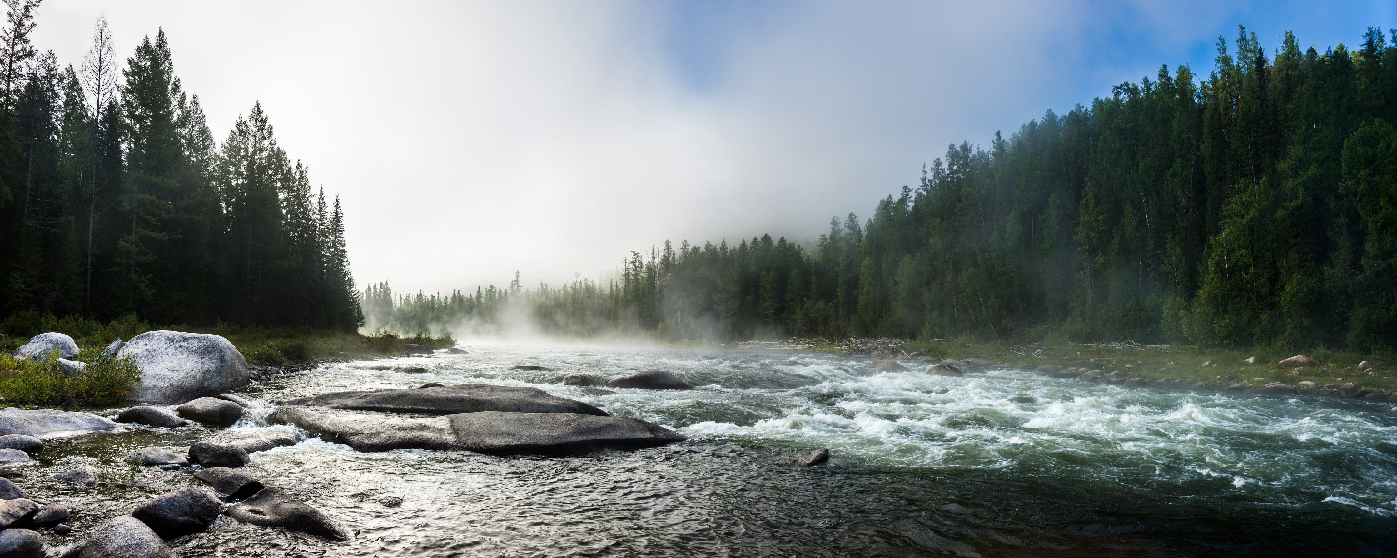 Waschbecken-Rückwand-Flusslandschaft mit Wald und Nebel