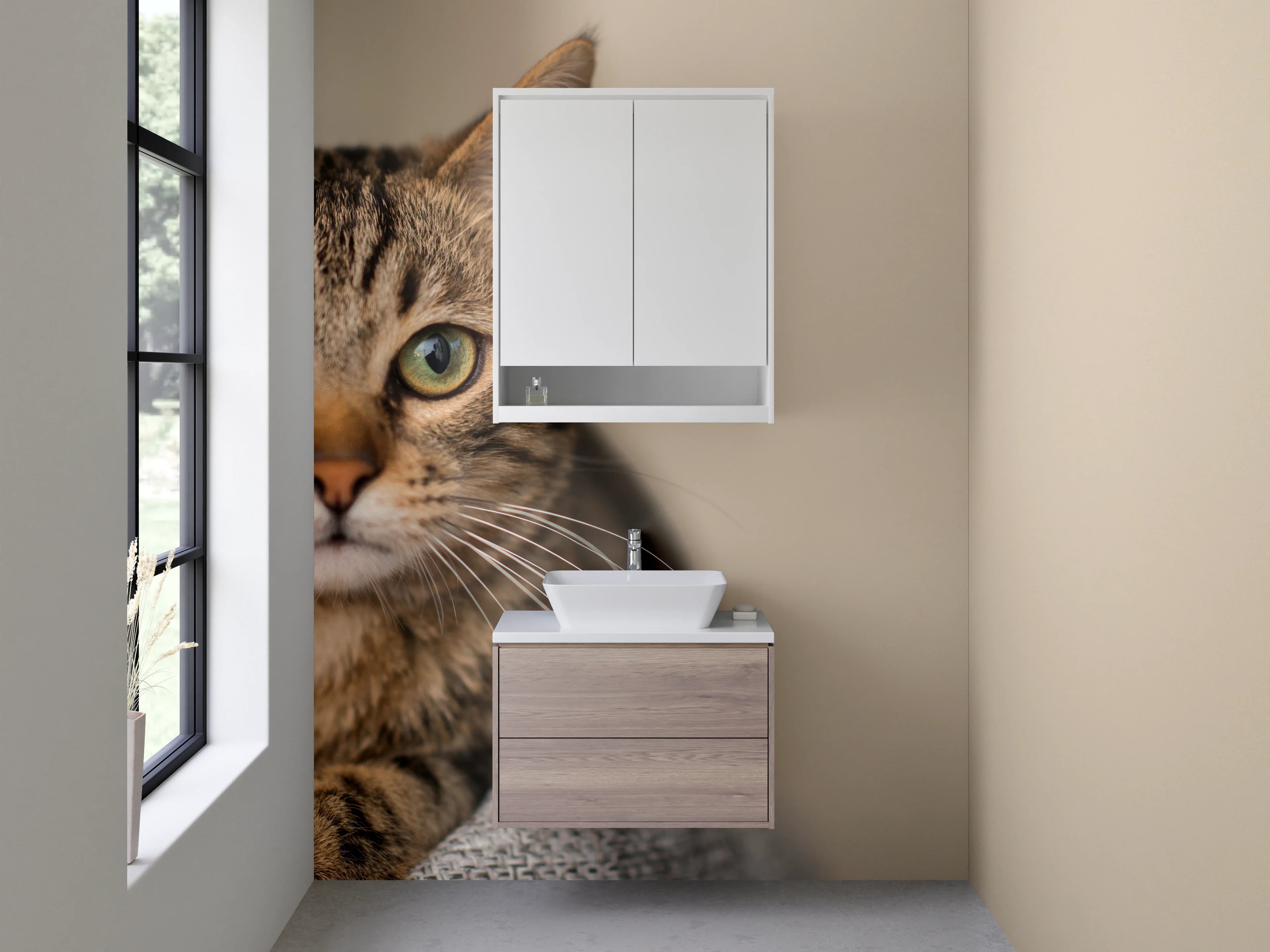 Waschbecken-Rückwand - Gemütliche Katze vor neutralem Hintergrund