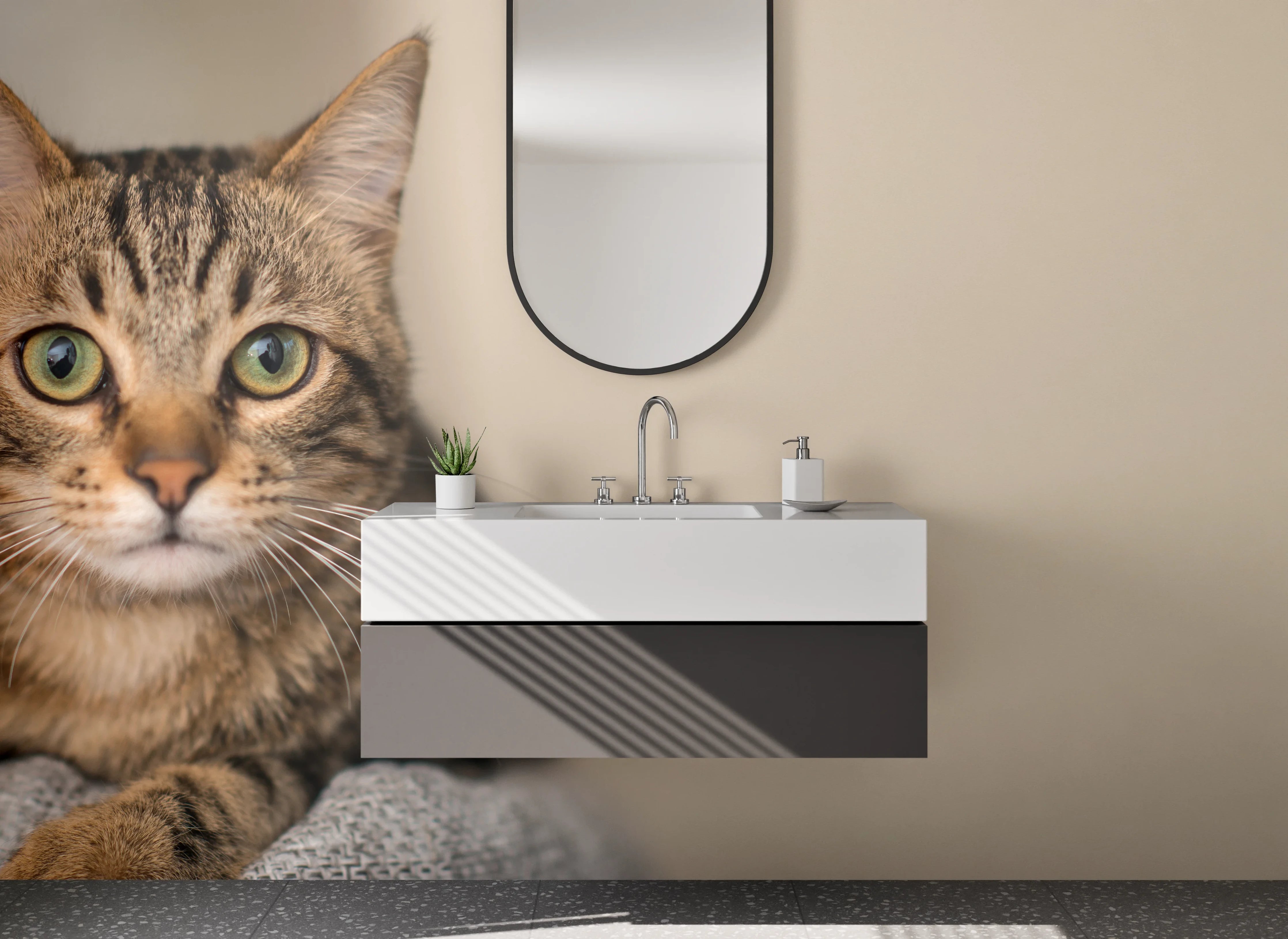 Waschbecken-Rückwand - Gemütliche Katze vor neutralem Hintergrund