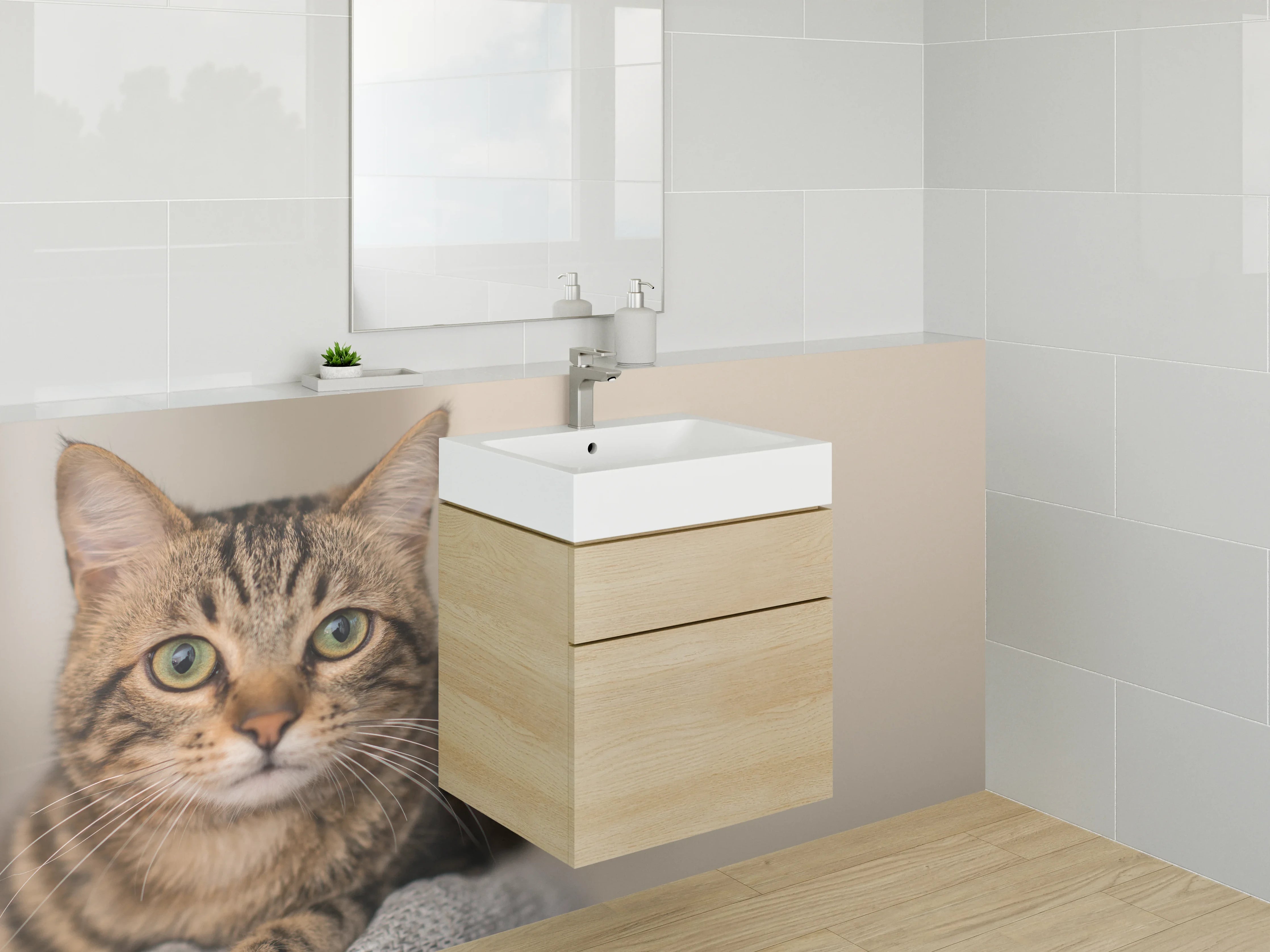 Waschbecken-Rückwand - Gemütliche Katze vor neutralem Hintergrund