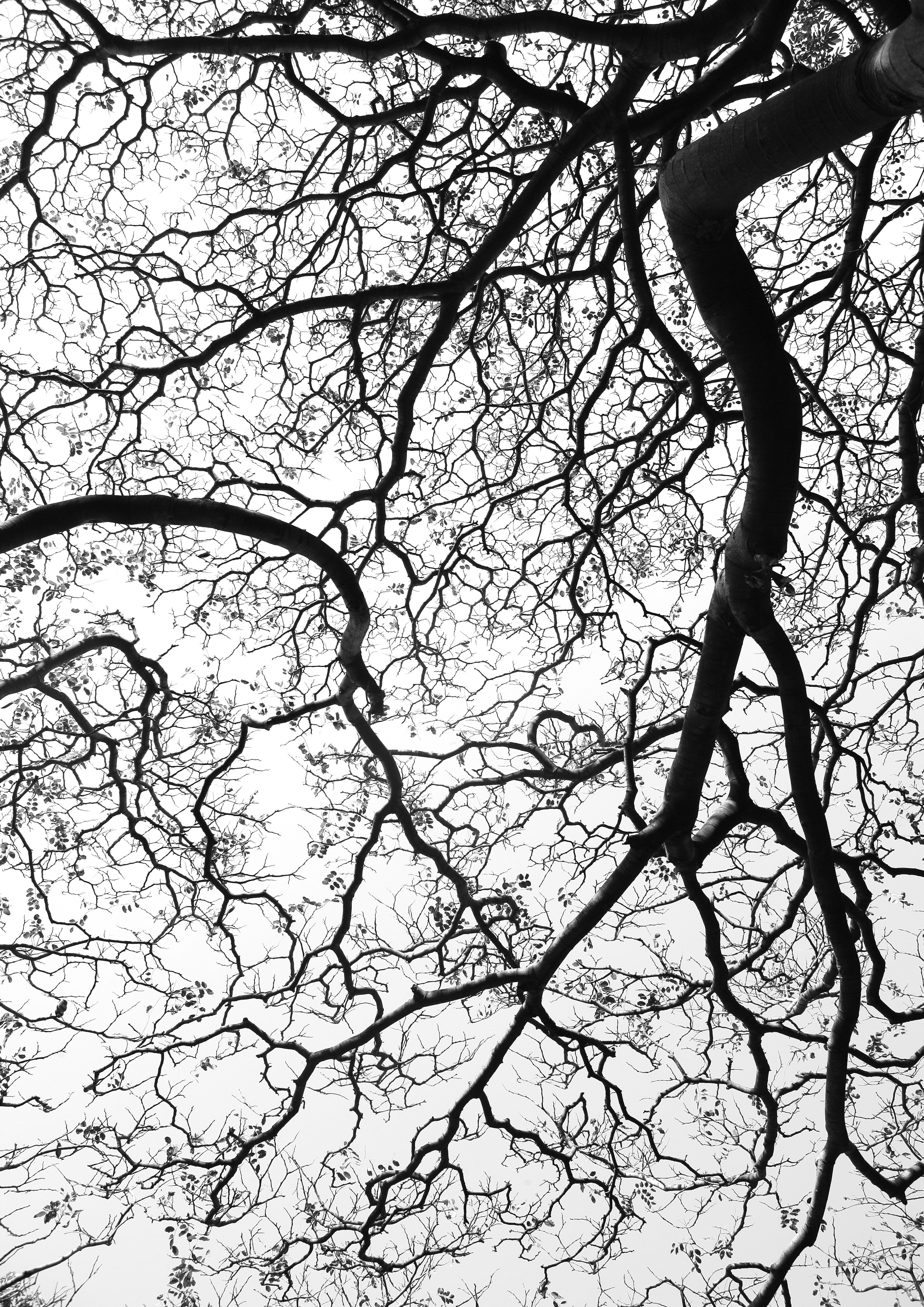 Waschbecken-Rückwand-Graue Bad-Wandpaneele für modernes Design