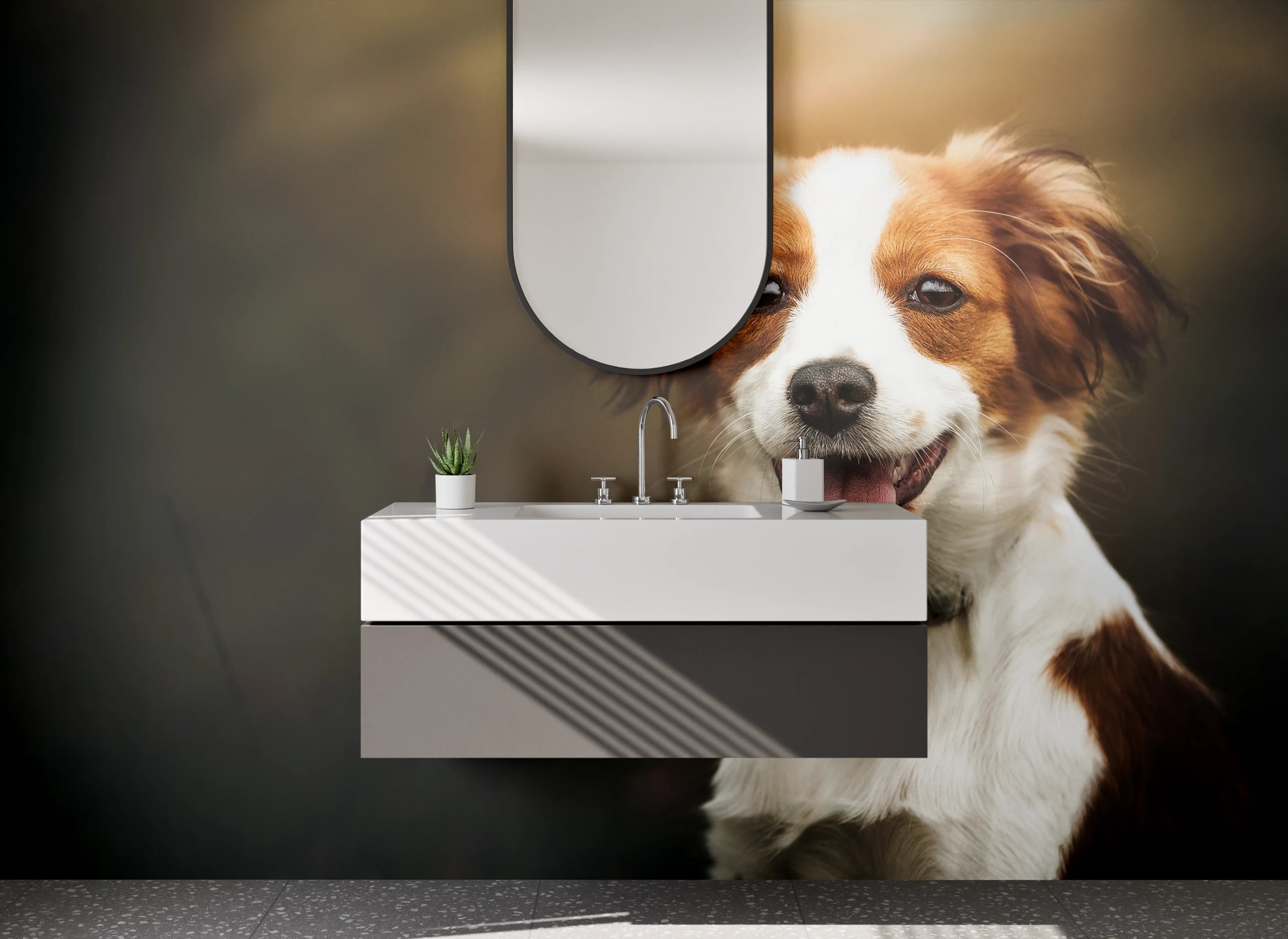 Waschbecken-Rückwand - Grauschimmernder Hund im Lichtspiel