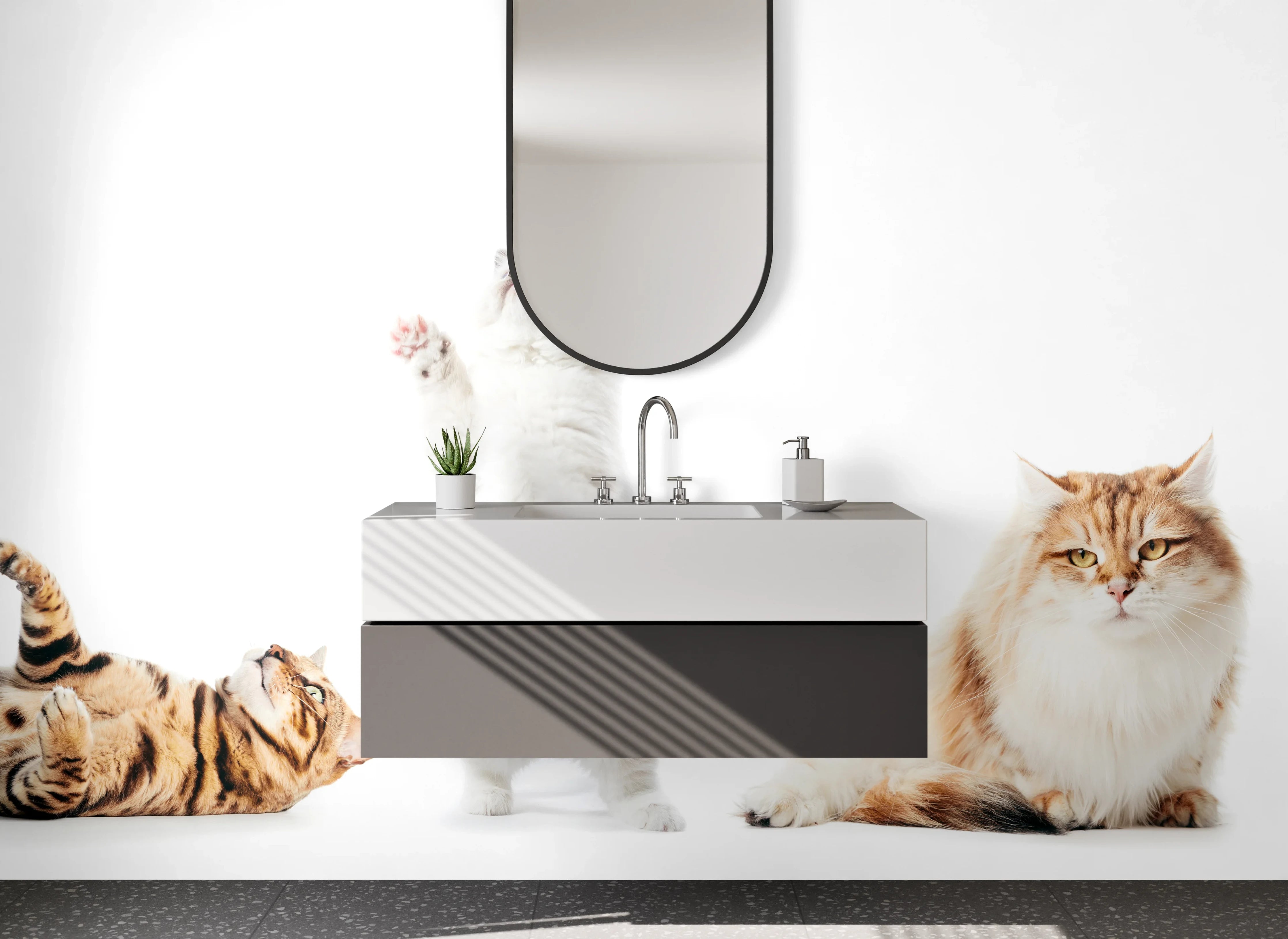 Waschbecken-Rückwand - Lustige Katzen auf Weiß