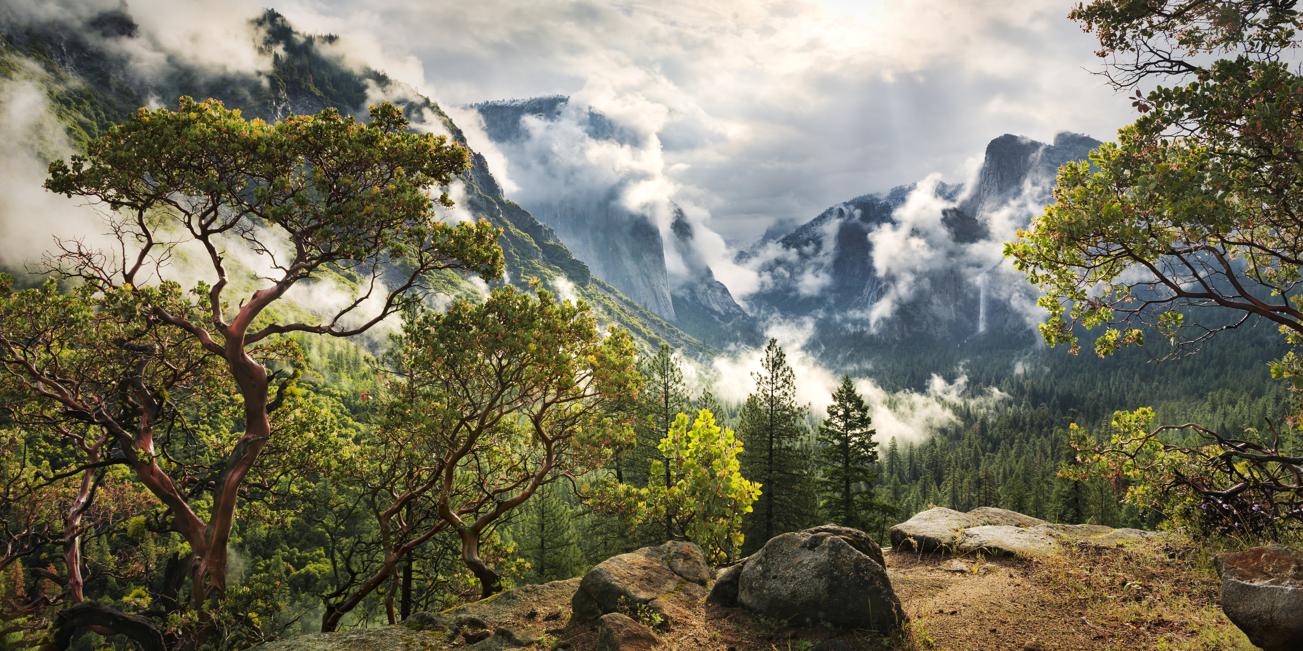 Waschbecken-Rückwand-Majestätische Gipfel und grüne Wälder