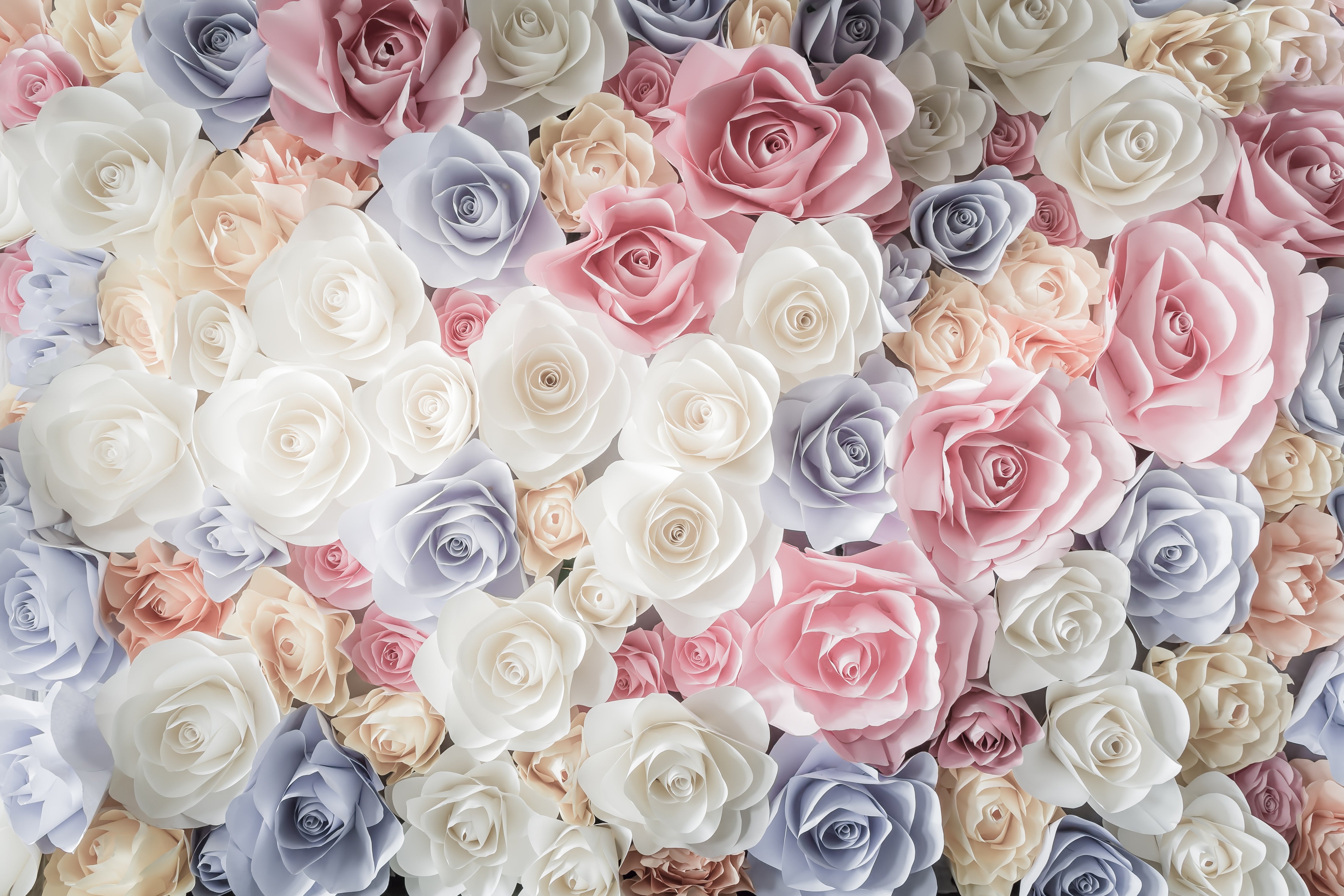 Waschbecken-Rückwand-Romantische Rosen Wanddeko Pastell