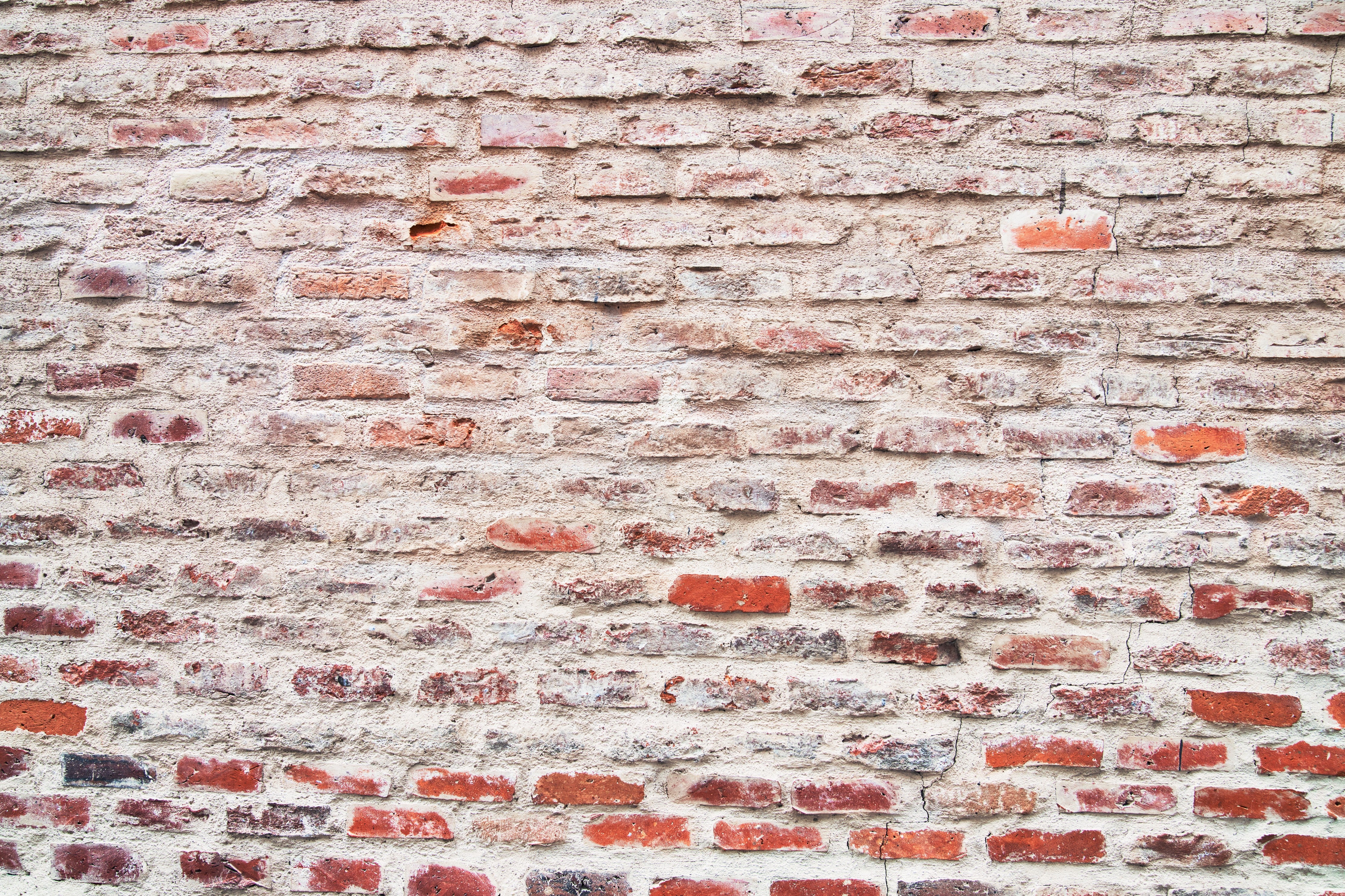 Waschbecken-Rückwand-Rustikale Backsteinwand in Weiß und Rot
