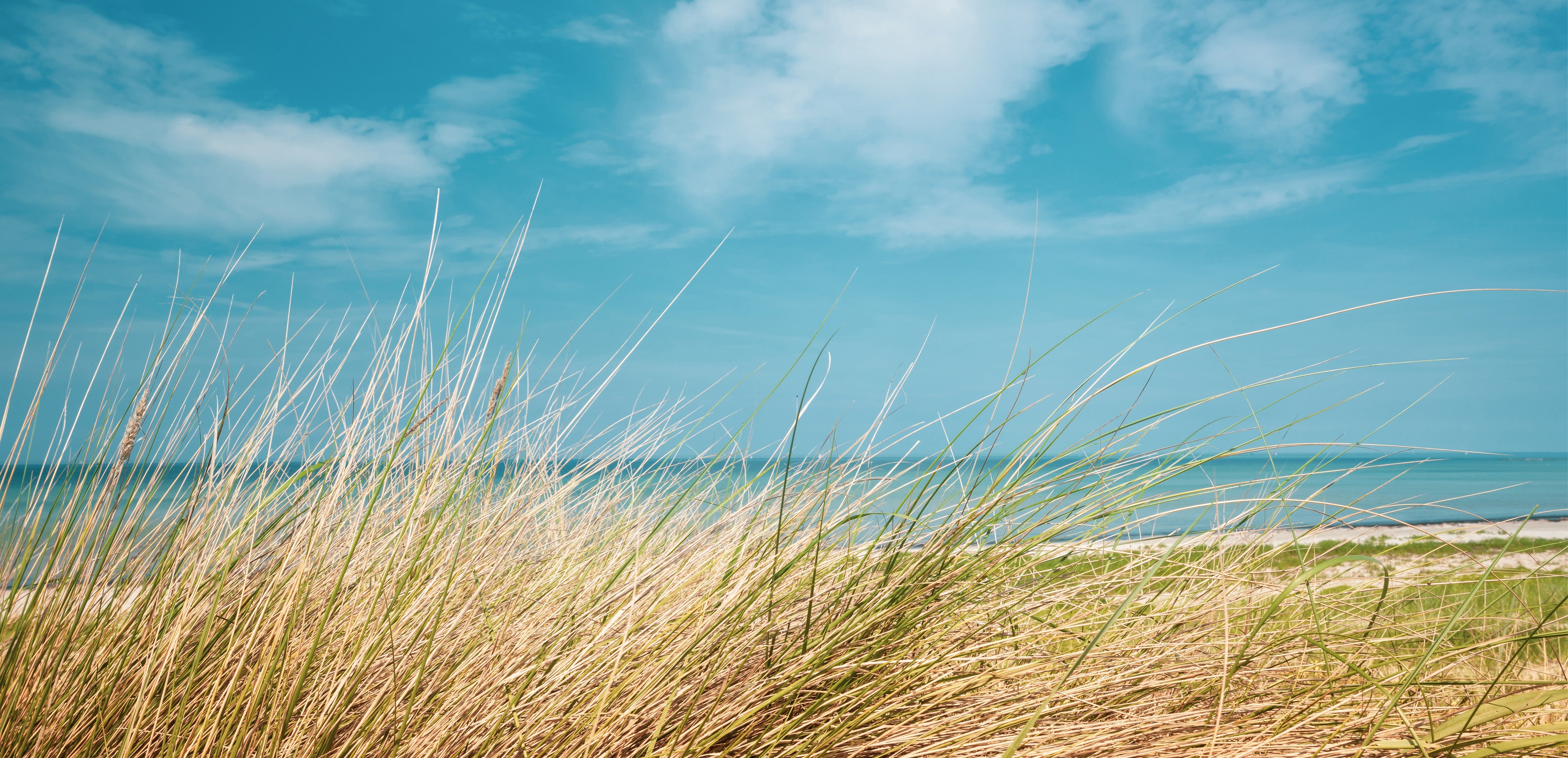 Waschbecken-Rückwand-Strand & Meer Naturmotiv