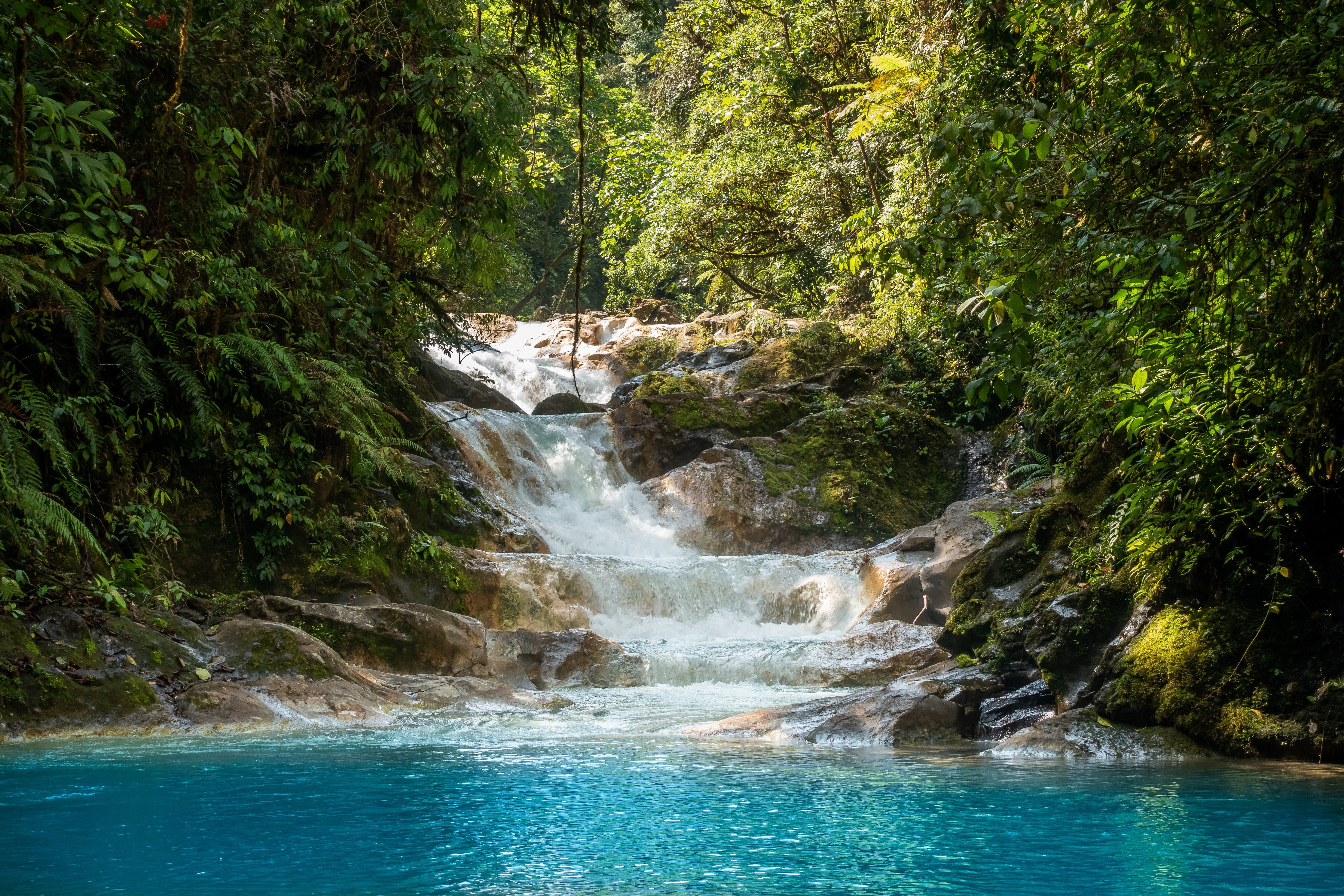Waschbecken-Rückwand-Tropischer Wasserfall am Dschungelpool