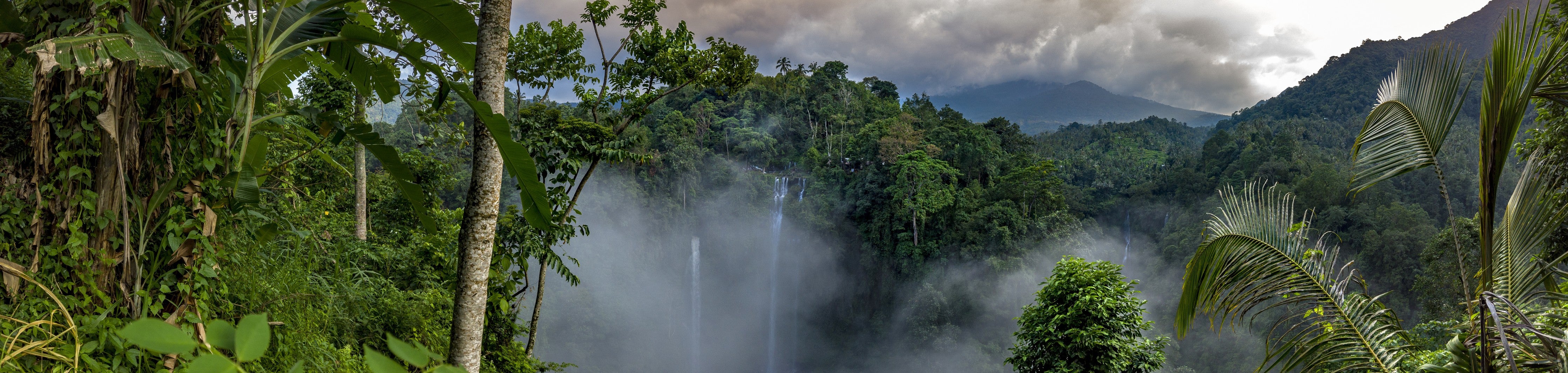 Waschbecken-Rückwand-Wasserfall im tropischen Regenwald Panorama