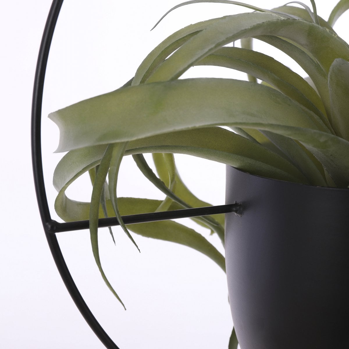 Blumentopf, der in Dexter Black hängt