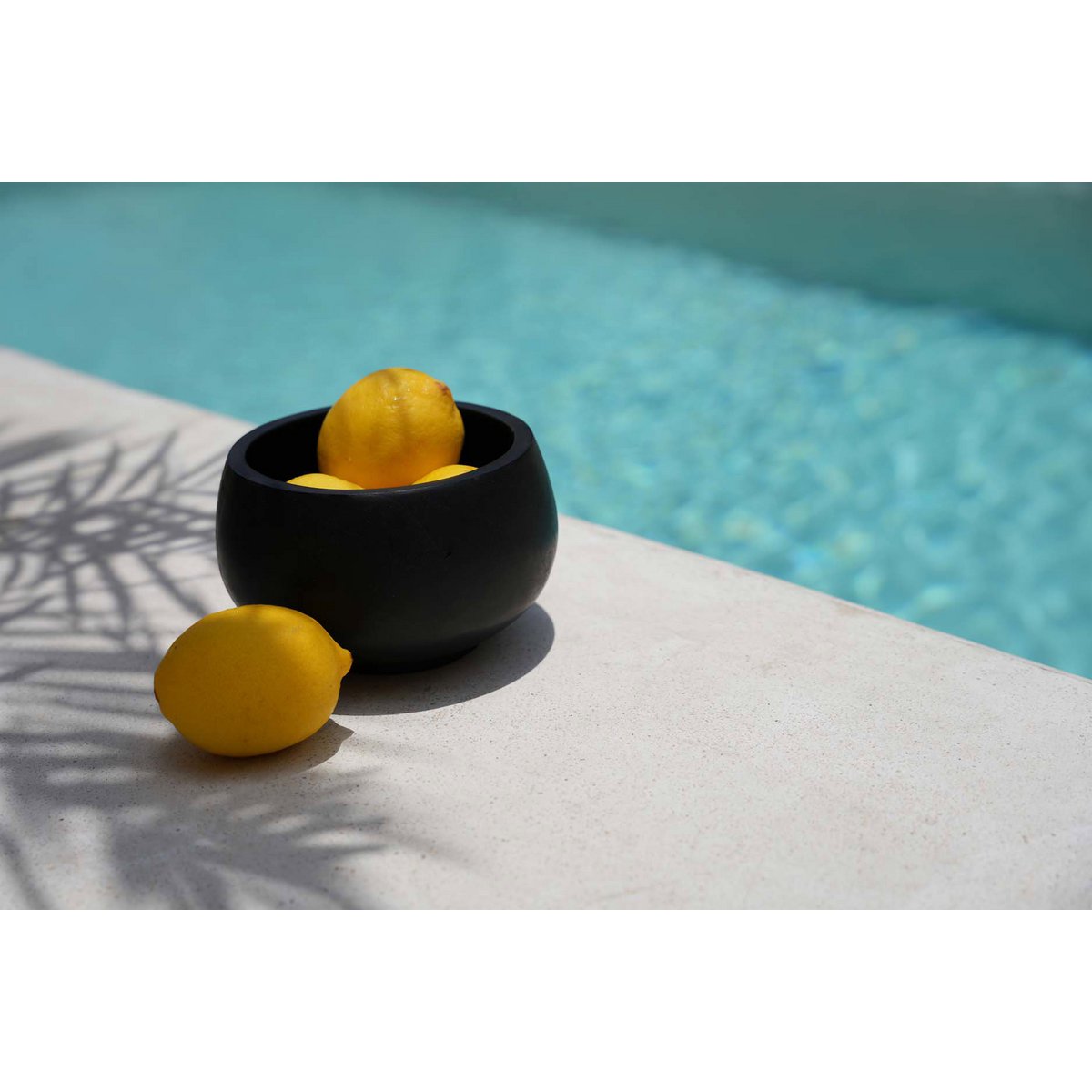 Die Bondi Black Bowl