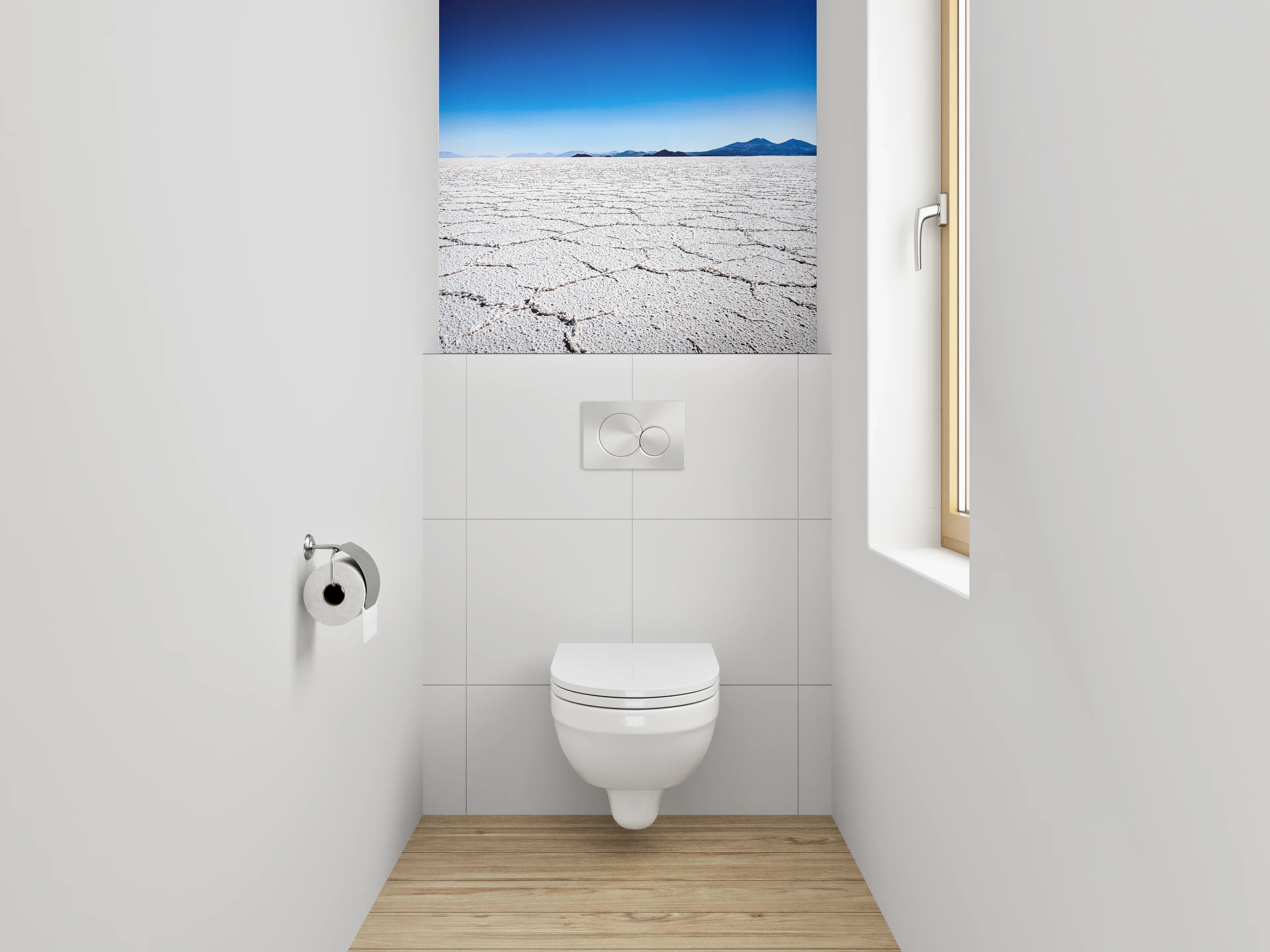 WC-Rückwand - Salzwüste unter klarem Himmel – weiß/grau