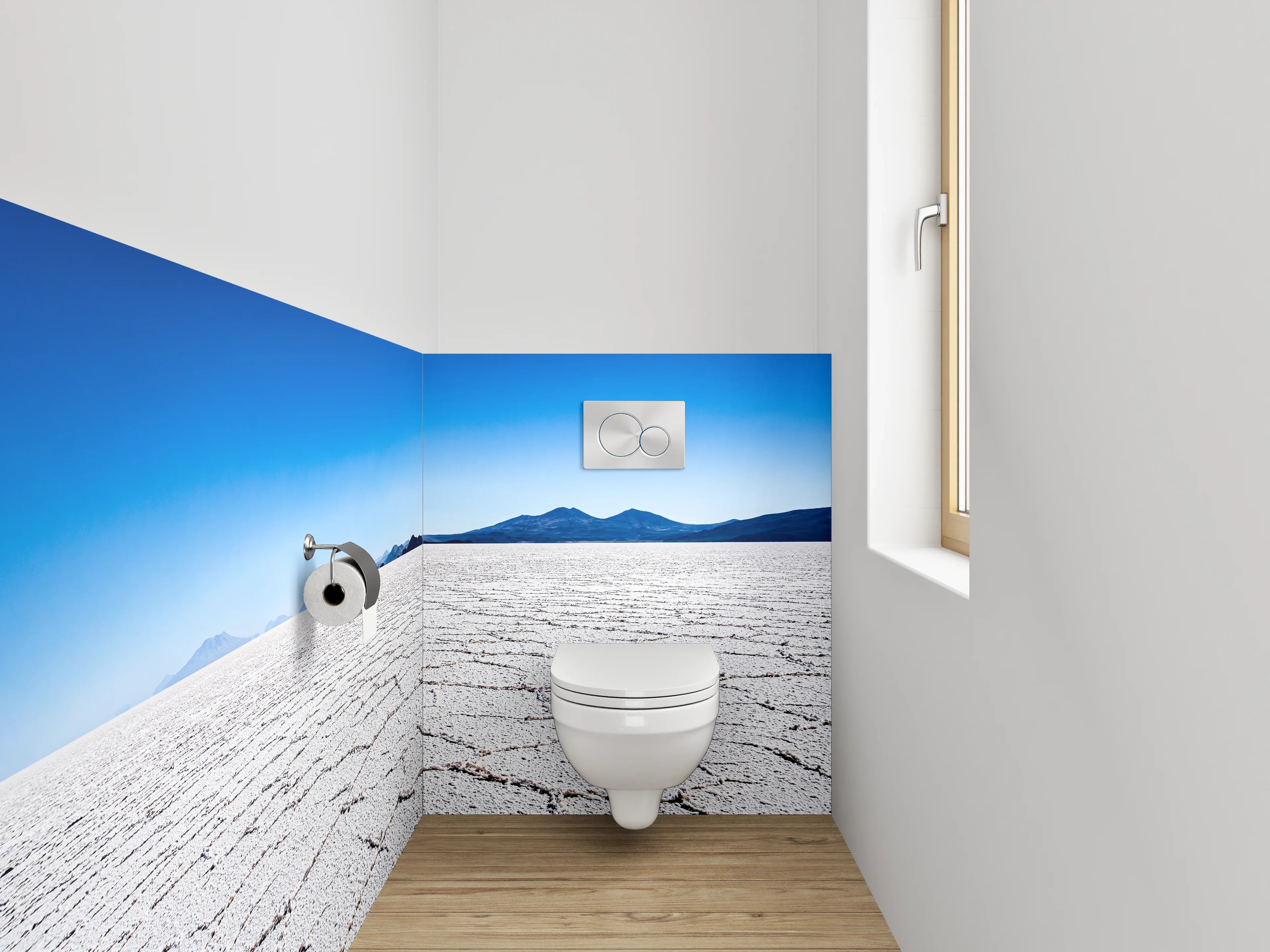 WC-Rückwand - Salzwüste unter klarem Himmel – weiß/grau