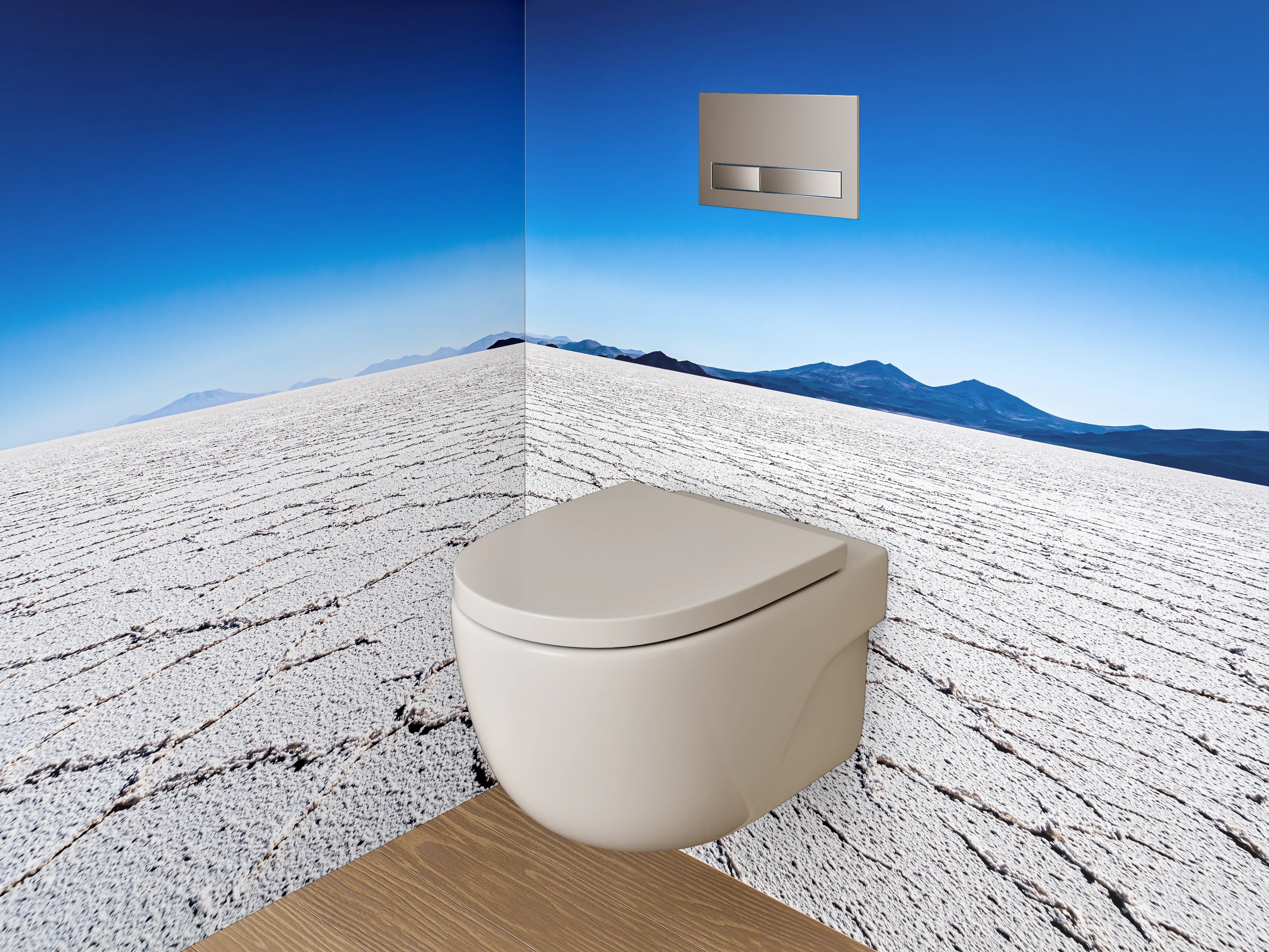 WC-Rückwand - Salzwüste unter klarem Himmel – weiß/grau