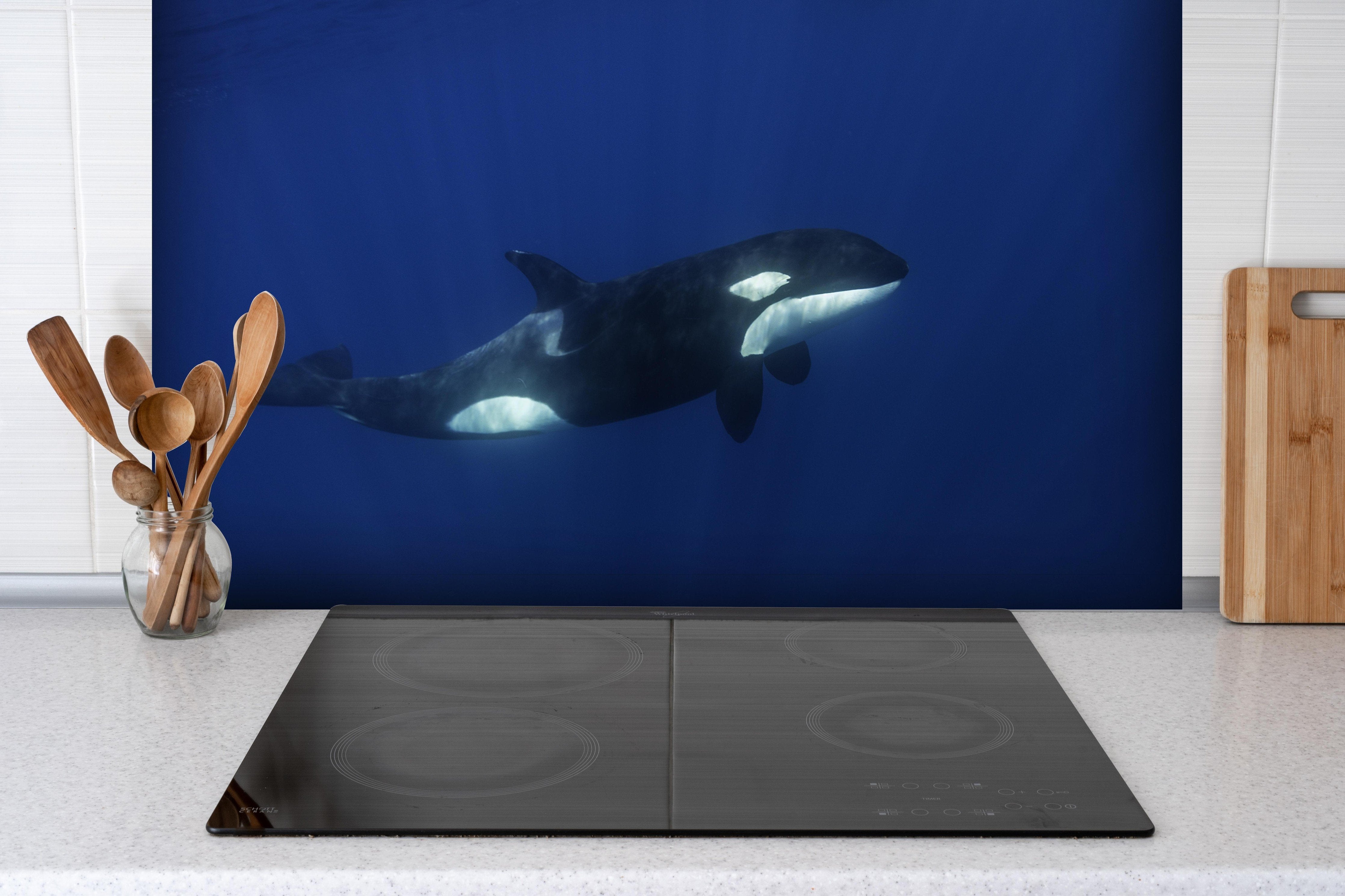 spritzschutz-sp-1602 Variante 1