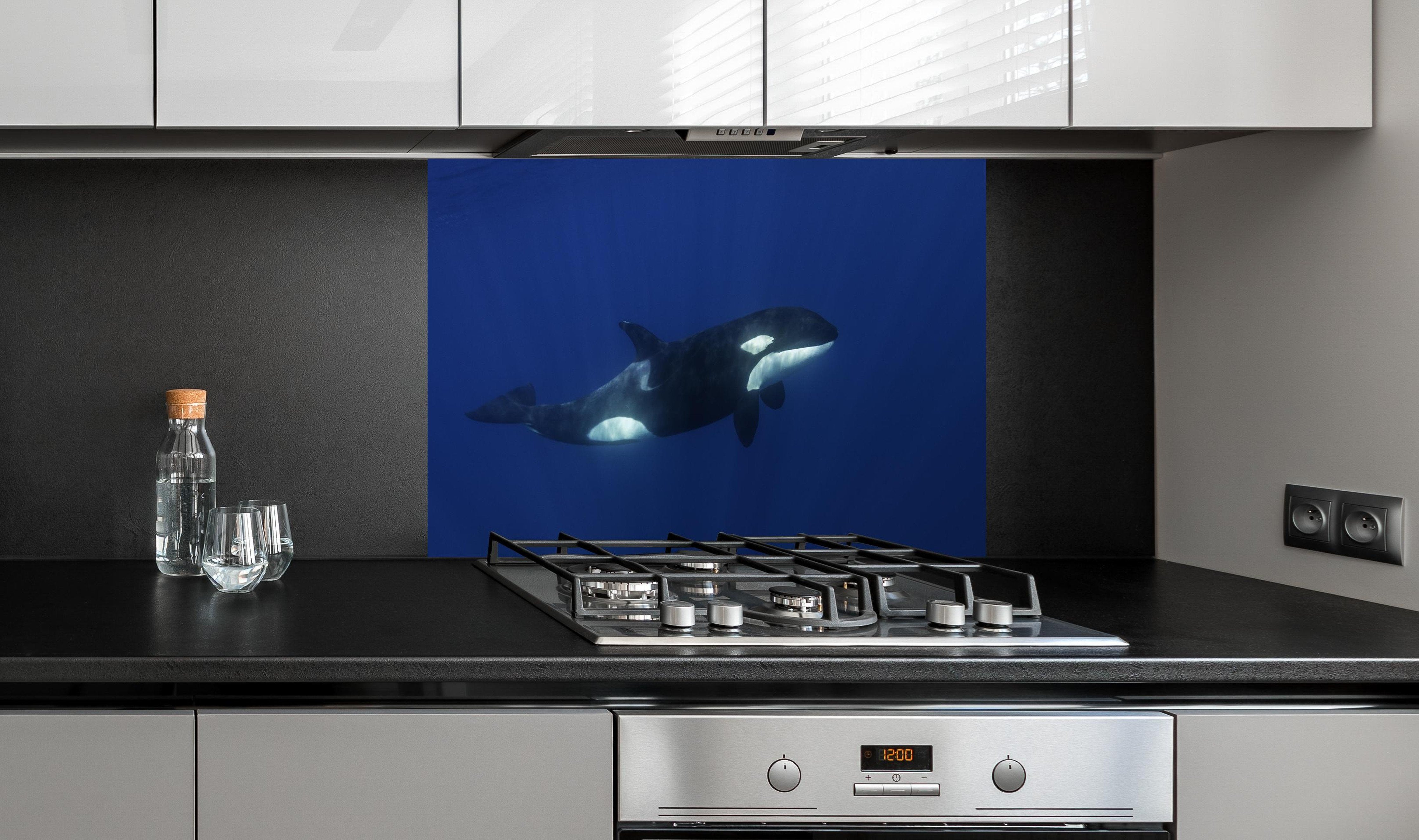 spritzschutz-sp-1602 Variante 3