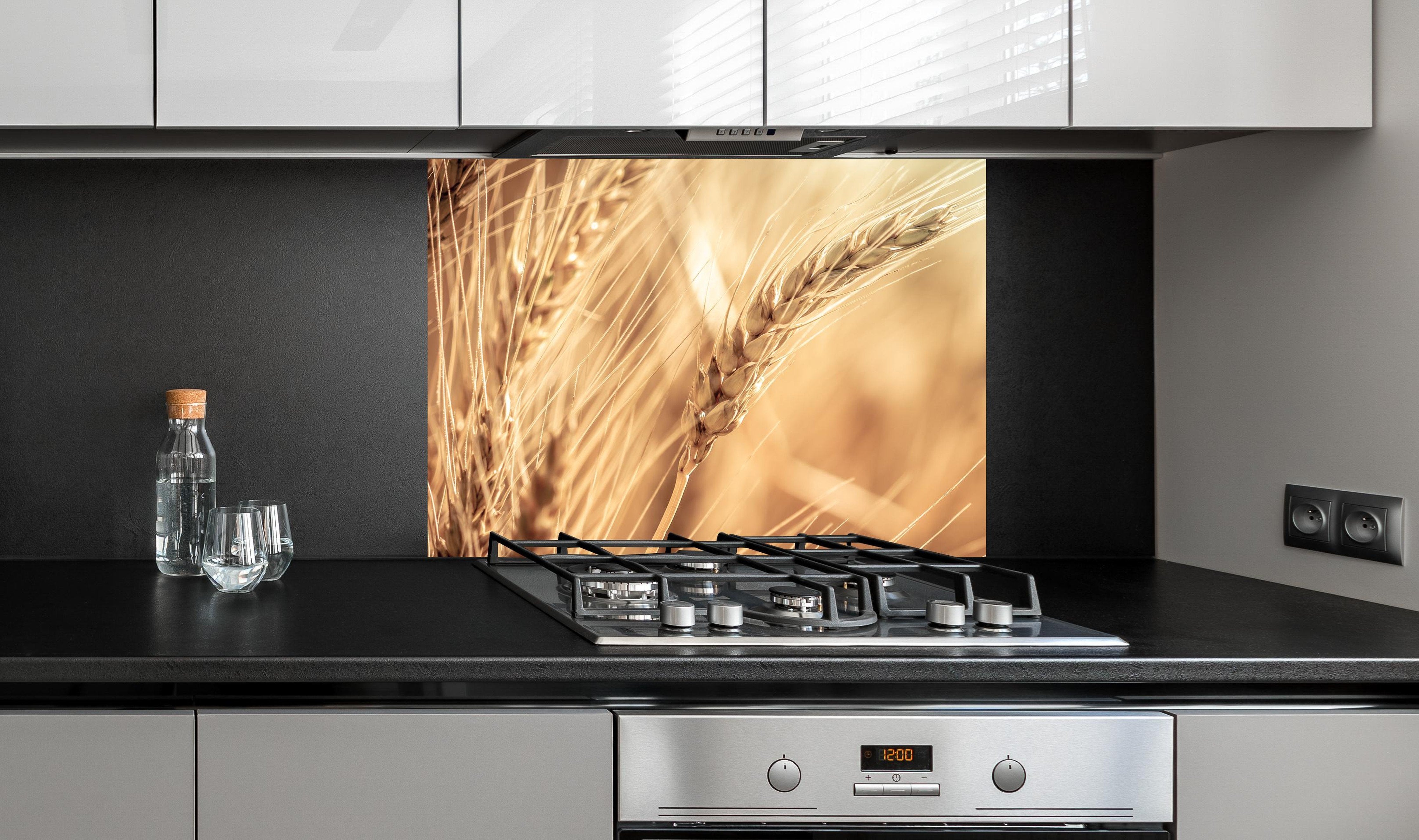 spritzschutz-sp-1700 Variante 3