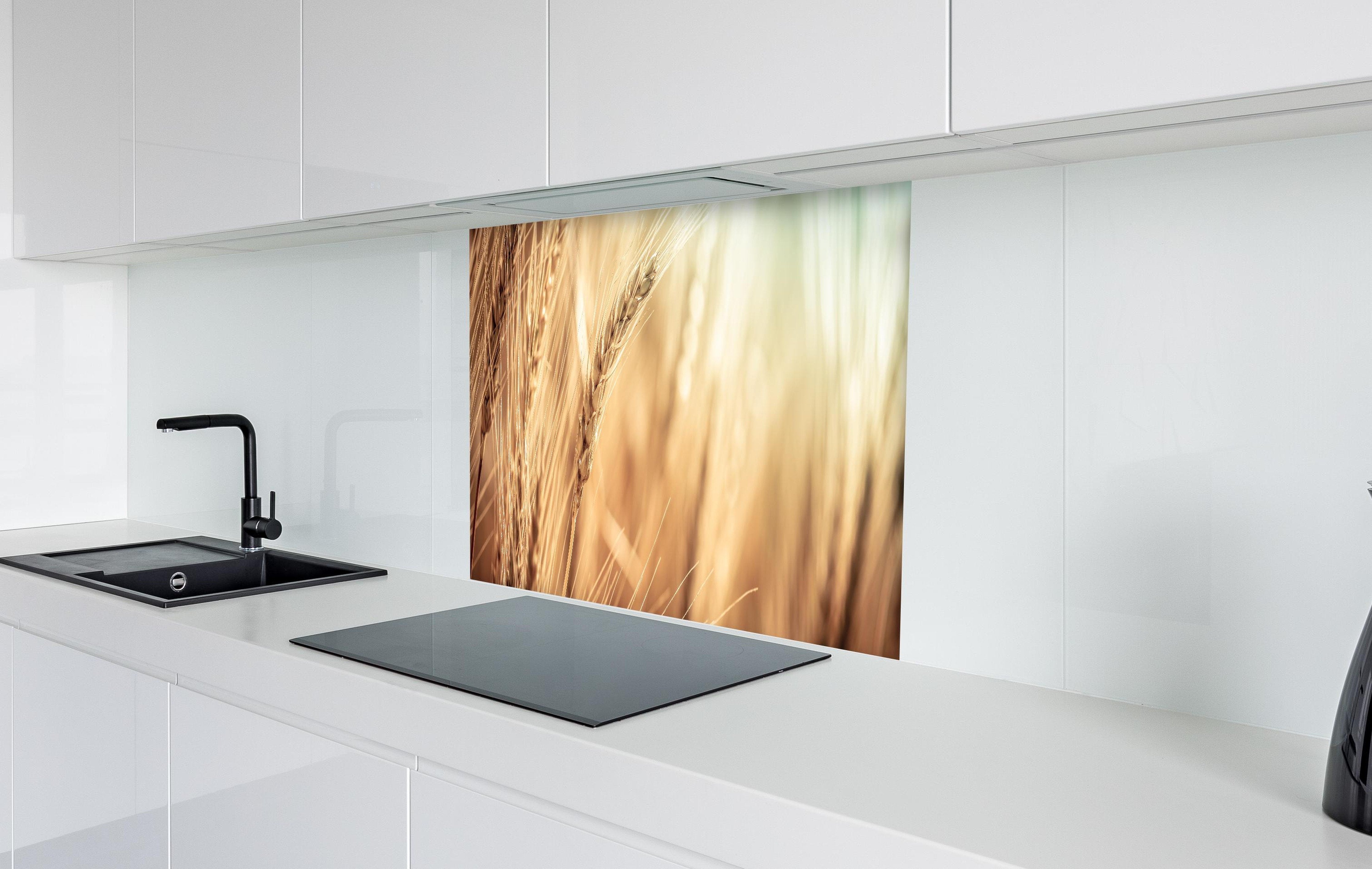 spritzschutz-sp-1700 Variante 5