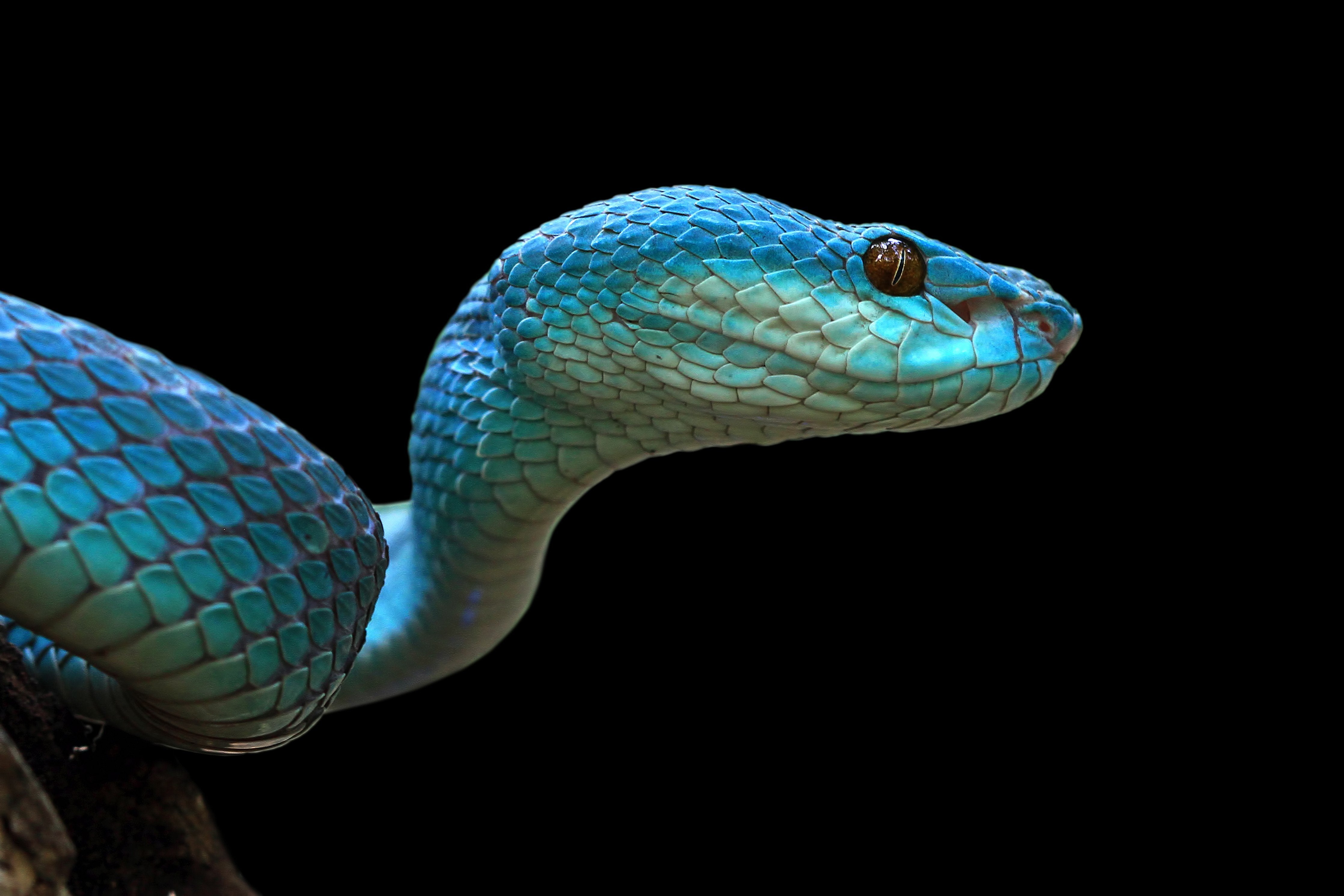 spritzschutz-sp-1704