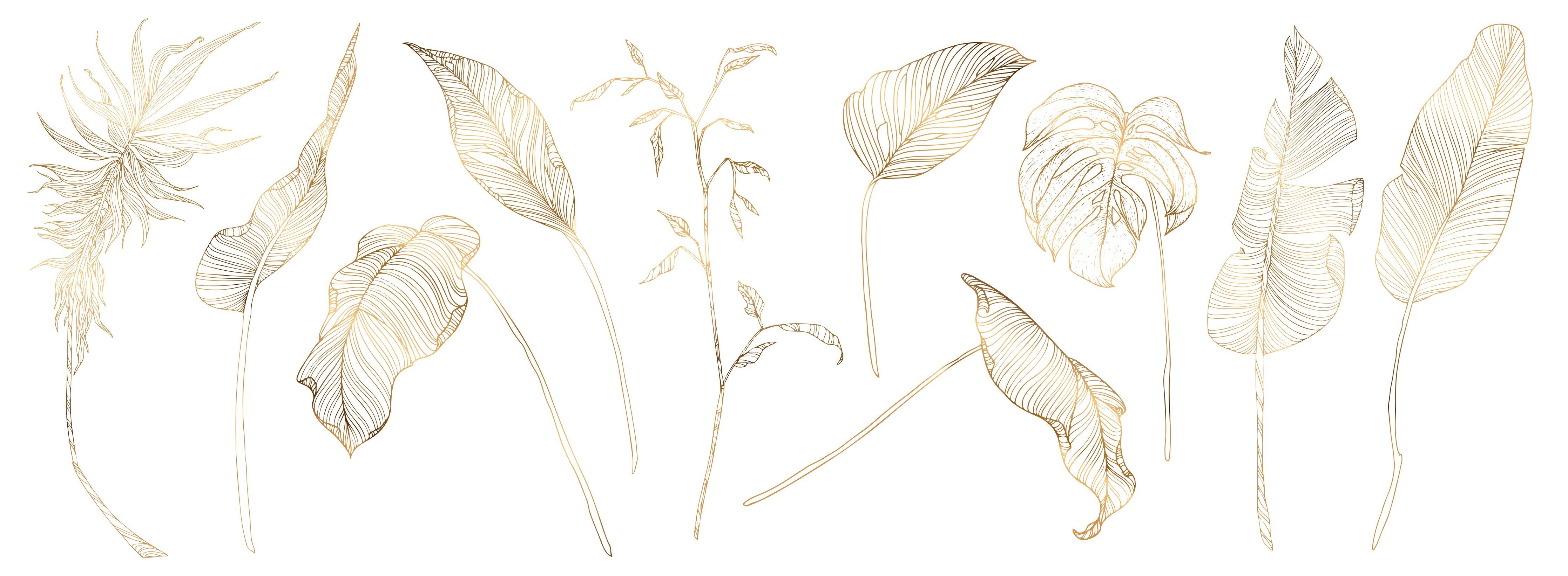 spritzschutz-sp-4960