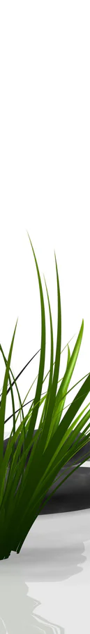 1-52023404003595-44343227547915.png