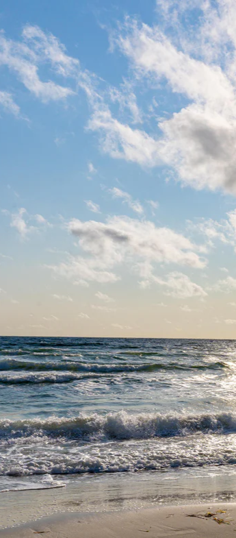 1-52155707490571-44343842373899.png