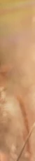 1-52676184637707-44325476761867.png