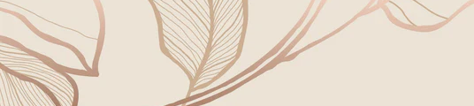 1-52678679920907-44354172027147.png