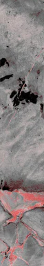 1-52795012776203-44329023242507.png