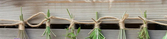 1-52805167448331-46341582553355.png