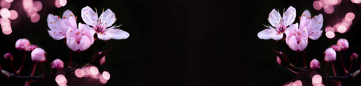 1-52806828392715-46341737185547.png