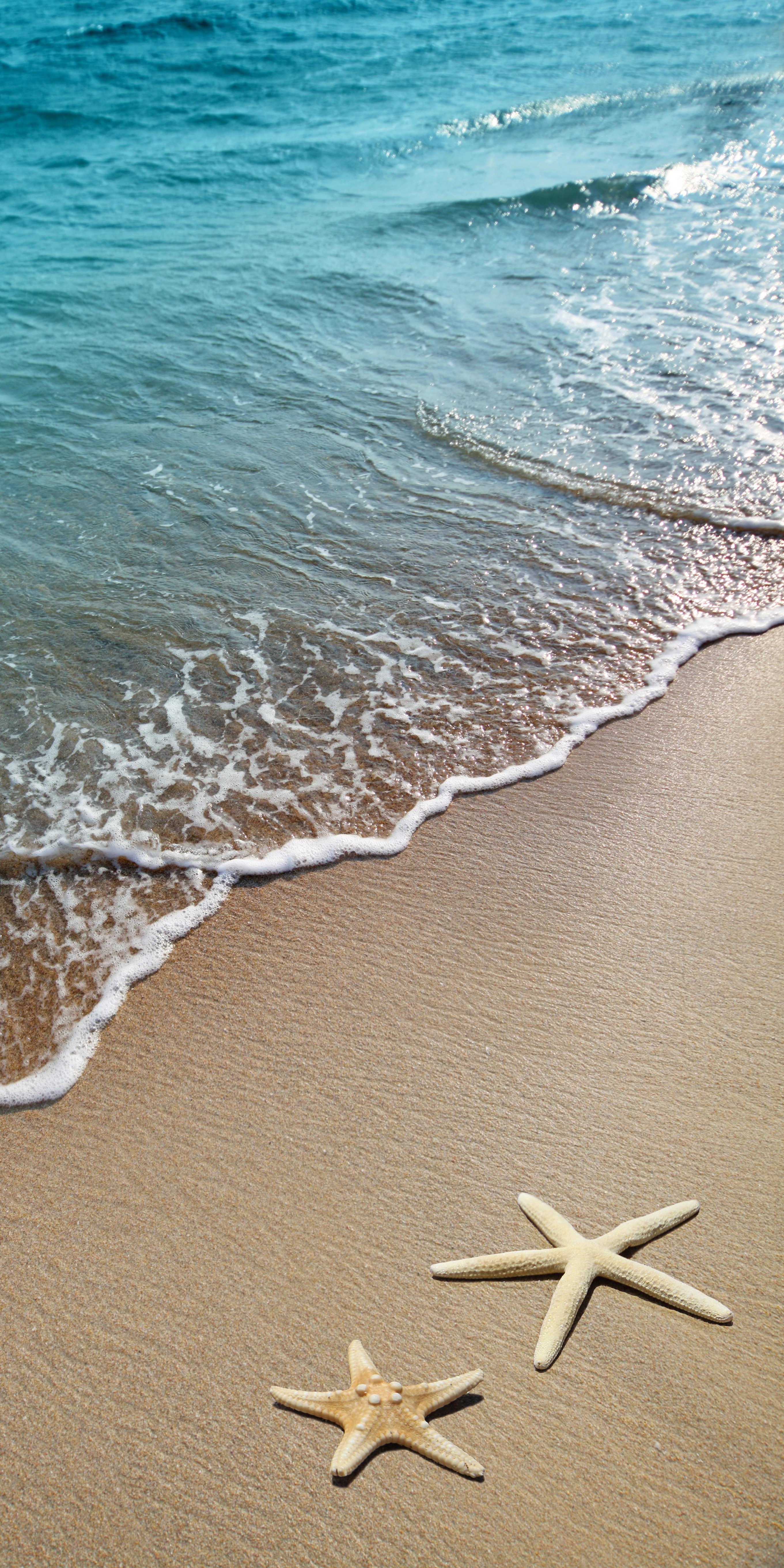1-52818942558475-40428076204299.png