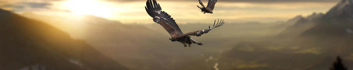 1-52820459389195-44326821626123.png