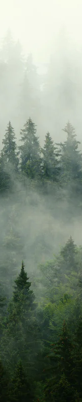 1-52822797320459-46343923335435.png