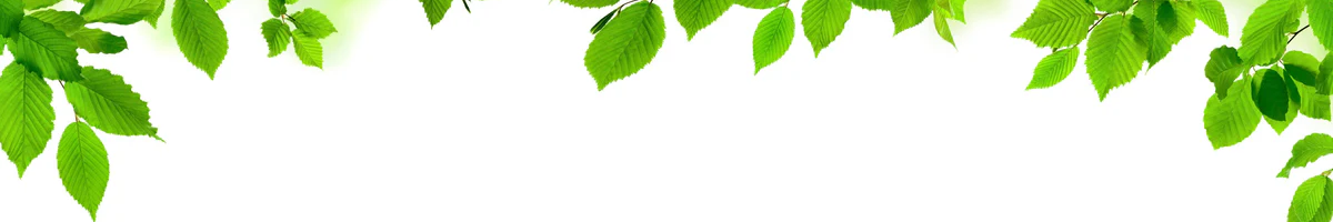 1-52824084414731-44324427301131.png