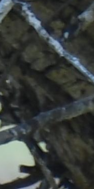 1-52840744386827-40428076204299.png