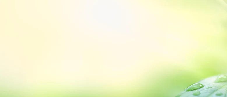 1-52841618309387-46221131481355.png