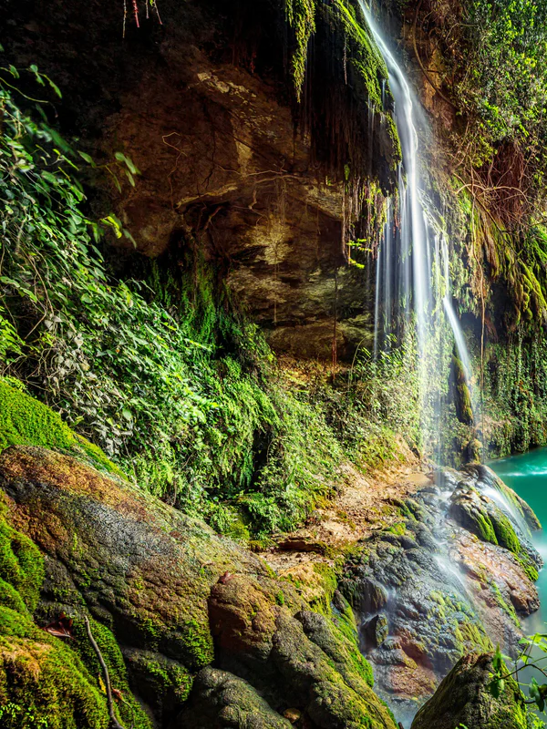 1-52843161288971-44343390994699.png