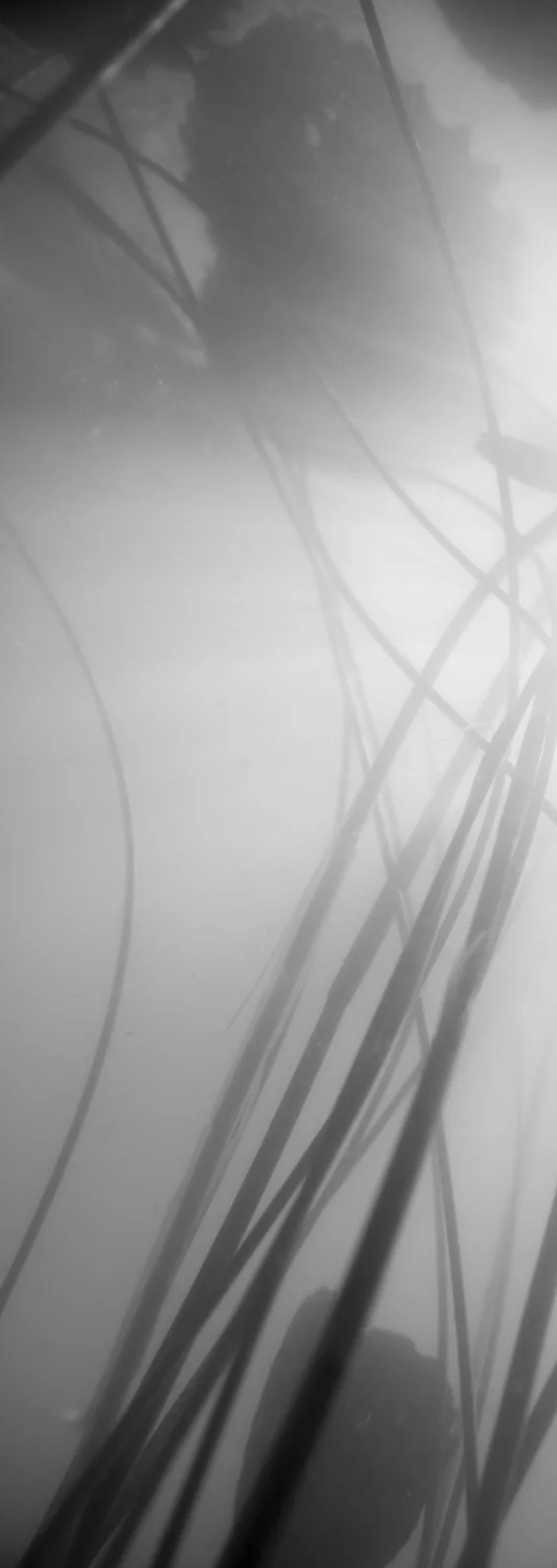 1-52843319558411-45940096303371.png