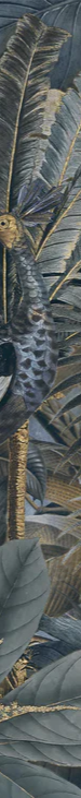 1-52847018213643-46375730020619.png