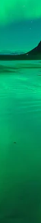 1-52876080578827-44324080451851.png