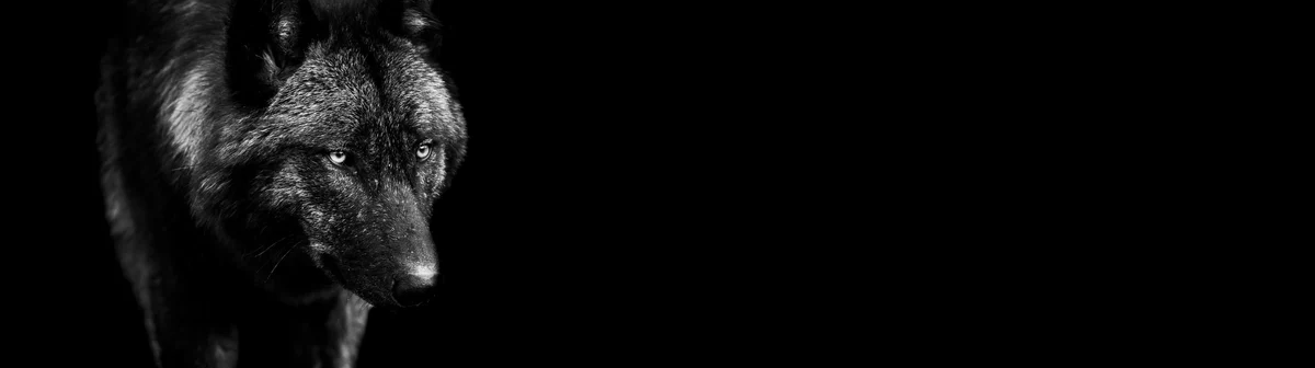 1-52879633940747-46224010346763.png
