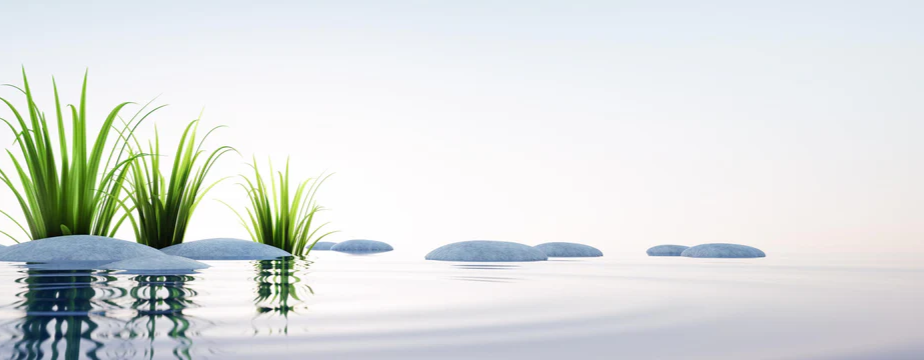 1-52880402612491-44326462456075.png
