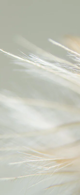 1-52883131334923-46338343600395.png