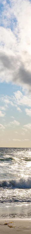 1-52884856144139-44343842373899.png